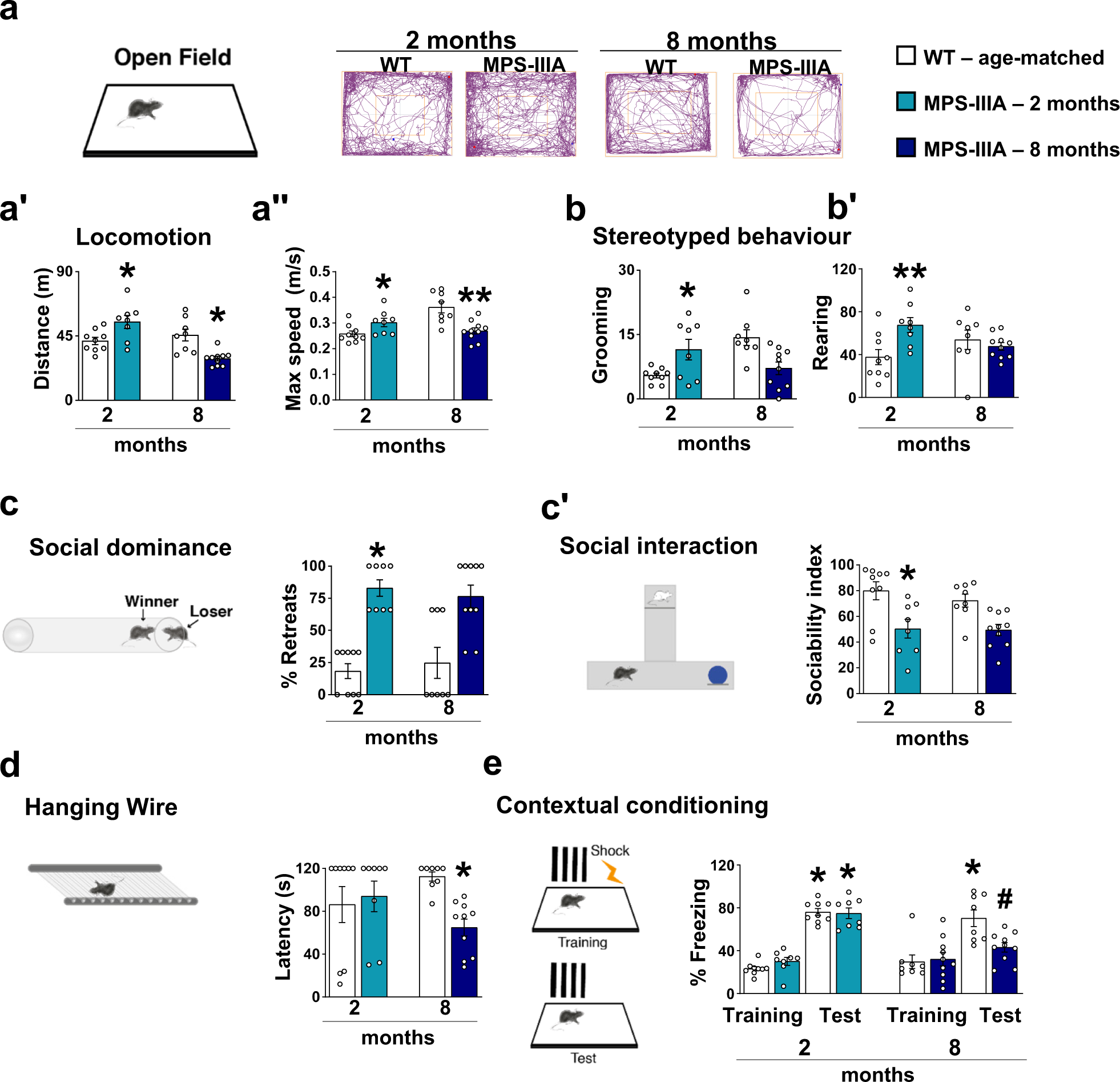 Altered heparan sulfate metabolism during development triggers  dopamine-dependent autistic-behaviours in models of lysosomal storage  disorders | Nature Communications