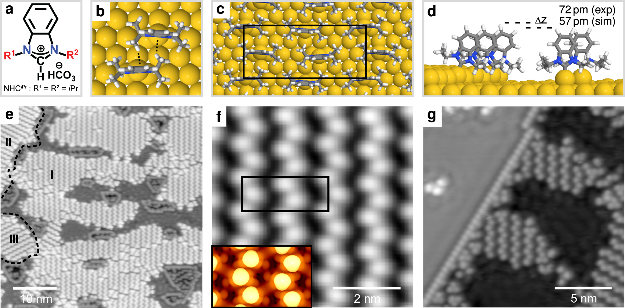 Self-assembly of N-heterocyclic carbenes on Au(111) | Nature Communications