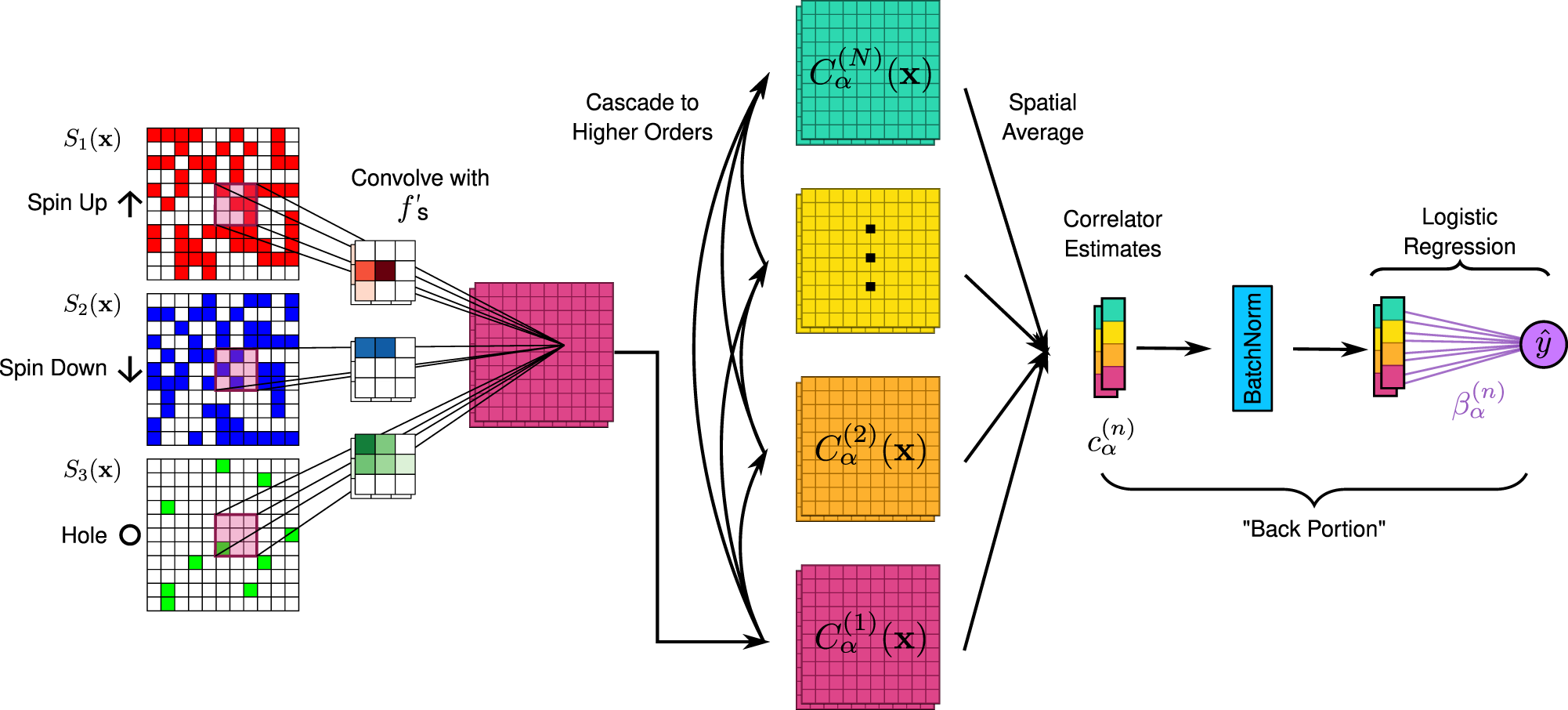 Correlator convolutional neural networks as an interpretable architecture  for image-like quantum matter data | Nature Communications
