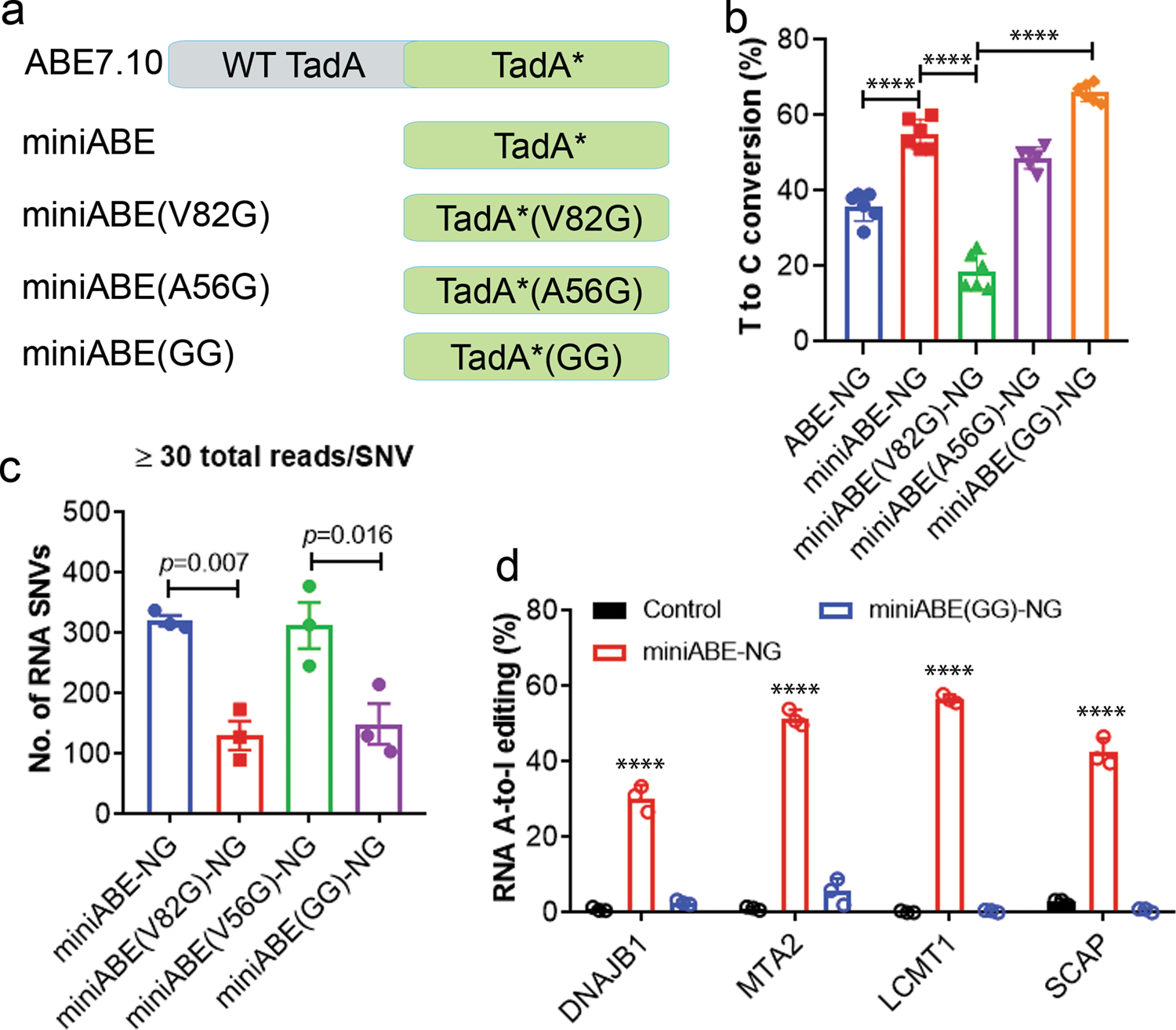 Fig. 3: Re-engineering the adenine deaminase domain to improve the efficiency and specificity of ABE-NG.