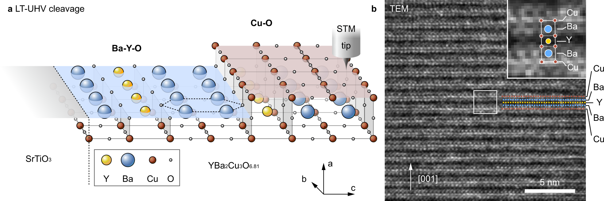 Atomically Resolved Interlayer Charge Ordering And Its Interplay With Superconductivity In Yba2cu3o6 81 Nature Communications