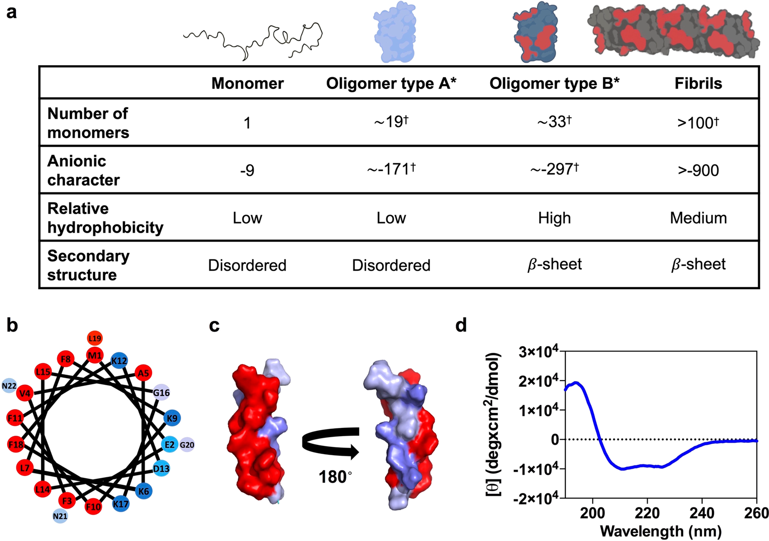 α-Helical peptidic scaffolds to target α-synuclein toxic species with  nanomolar affinity | Nature Communications