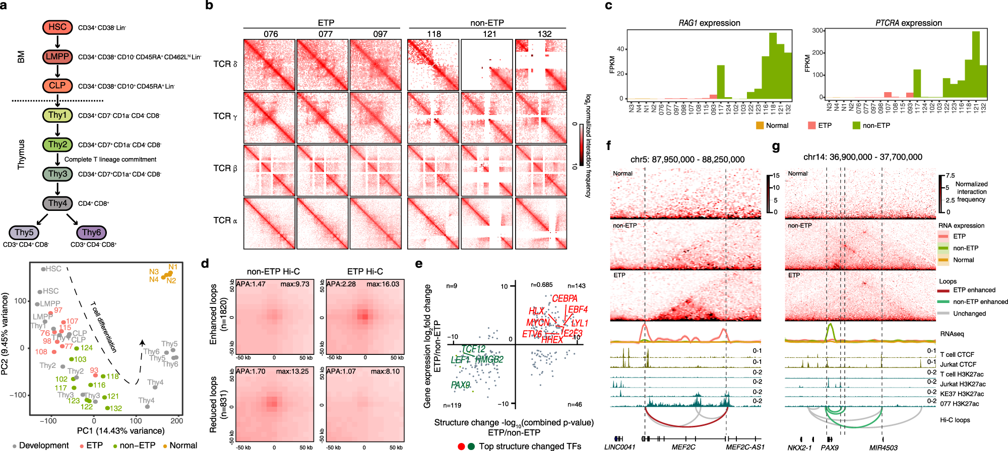 Fig. 2: ETP and non-ETP ALLs have different loop structures.