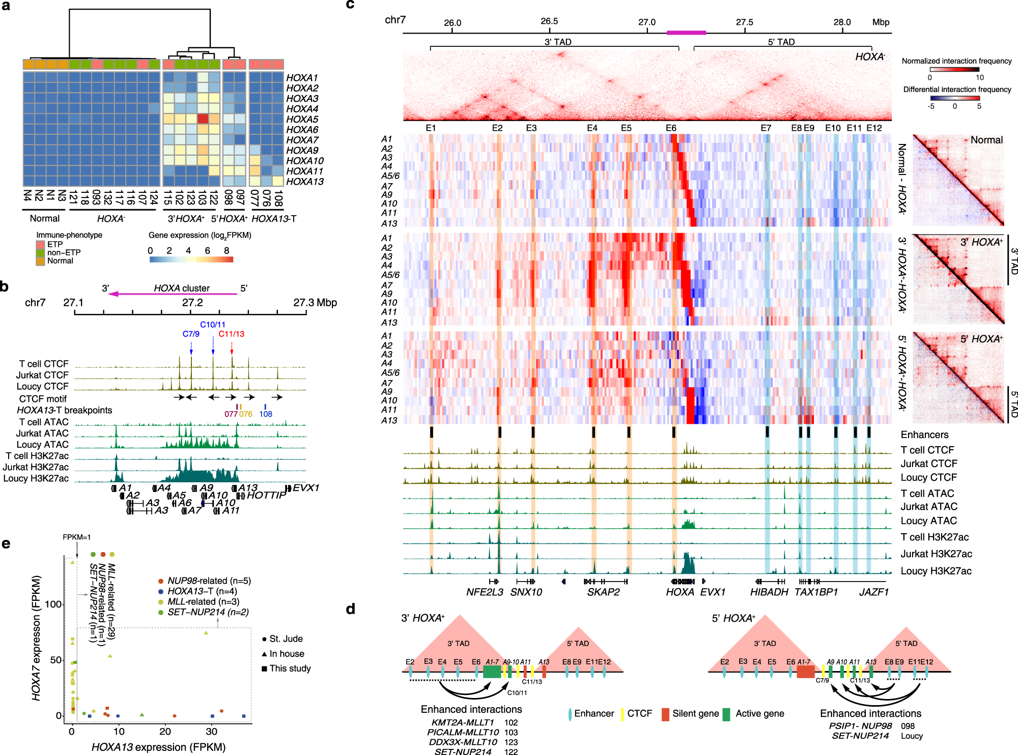 Fig. 4: Chromatin interaction profile and expression patterns of the HOXA cluster in T-ALLs.