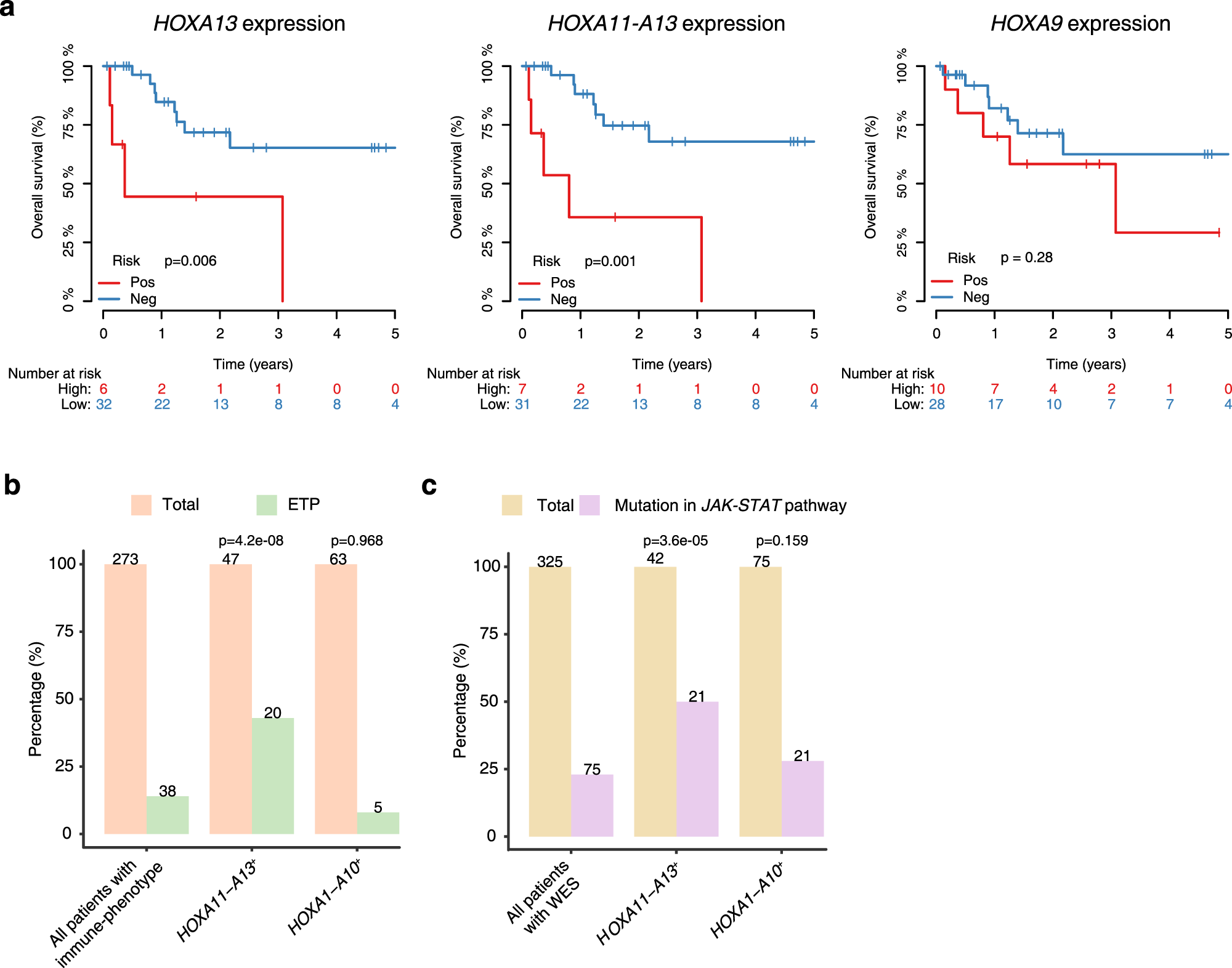 Fig. 6: Ectopic HOXA11-A13 expressions are correlated with poor outcomes in pediatric and young adult T-ALLs.