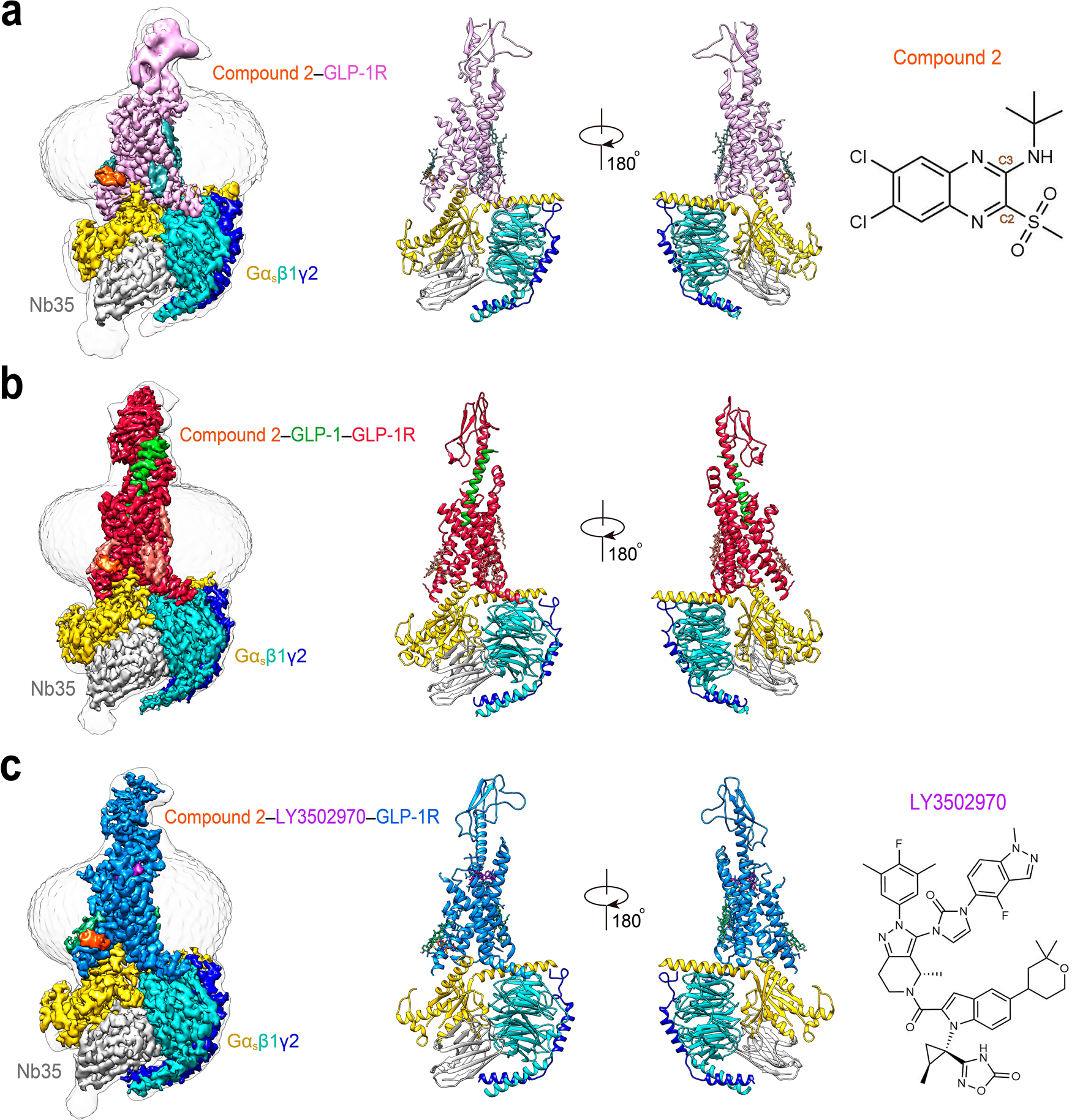 Molecular Insights Into Ago Allosteric Modulation Of The Human Glucagon Like Peptide 1 Receptor Nature Communications