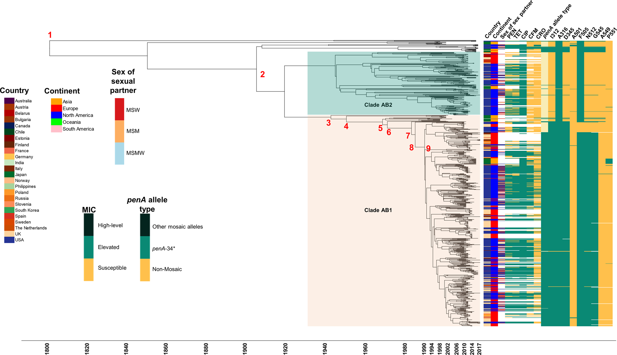 Fig. 2: Time-scaled (strict model) BEAST phylogeny of 805 isolates, including 340 GISP isolates identified in Clade A-B of this study and 465 international MLST ST1901 strains.