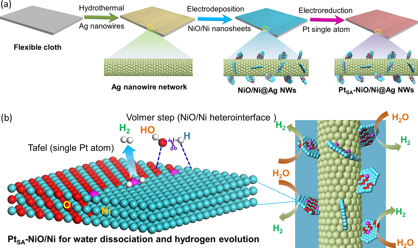 Distortion-Induced Interfacial Charge Transfer at Single Cobalt Atom  Secured on Ordered Intermetallic Surface Enhances Pure Oxygen Production