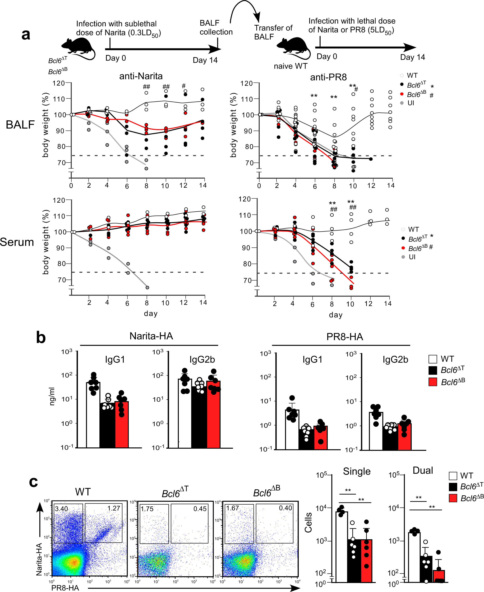 Fig. 5: GC function is required for cross-strain protective humoral responses.