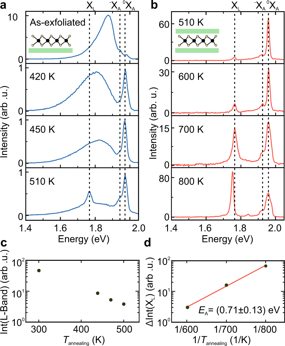 Fig. 2: Evolution of MoS2 low-temperature PL with increasing annealing temperature.