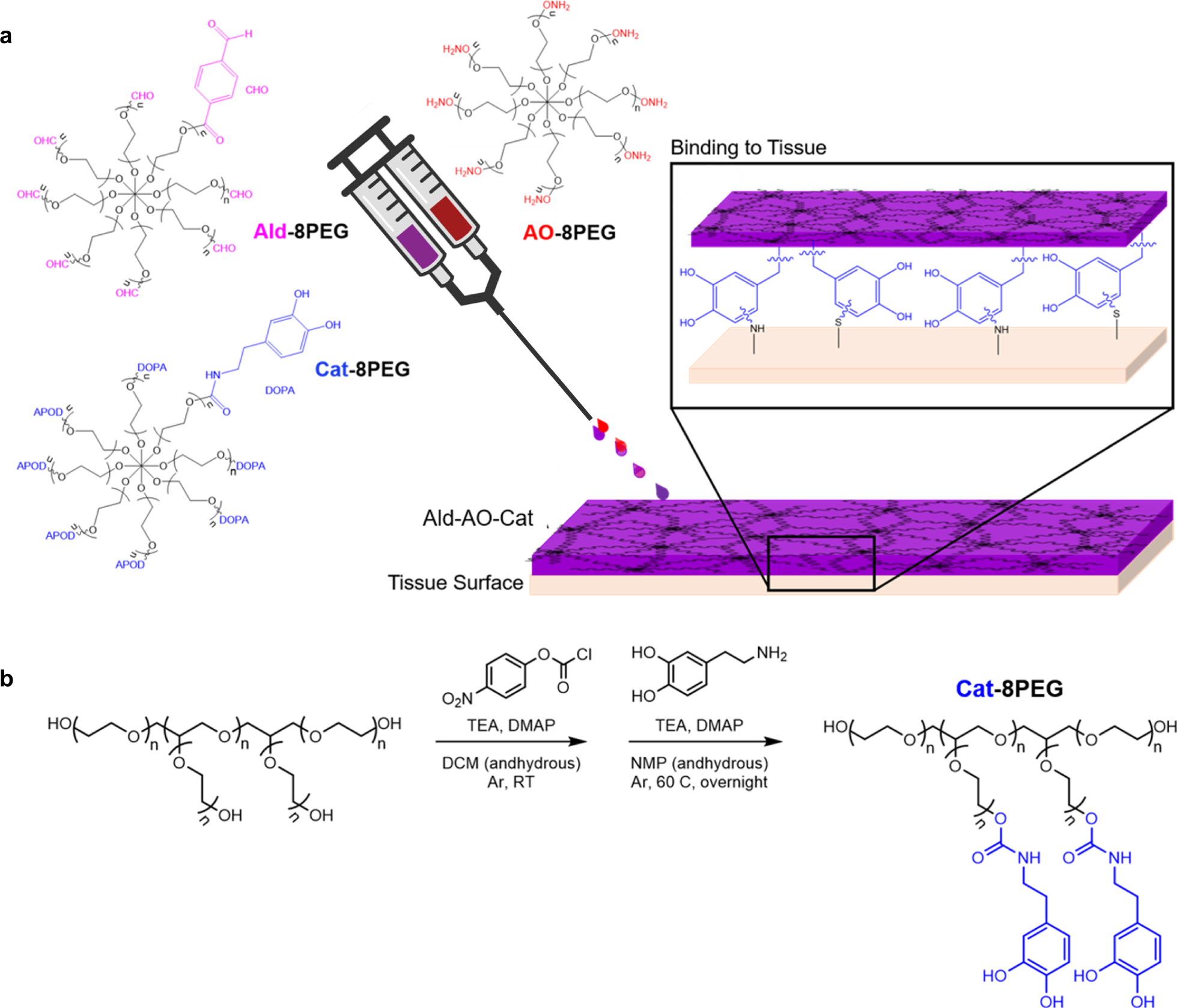 Preventing Post Surgical Cardiac Adhesions With A Catechol Functionalized Oxime Hydrogel Nature Communications