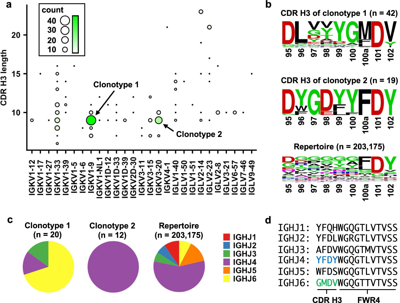 Sequence signatures of two public antibody clonotypes that bind SARS-CoV-2  receptor binding domain | Nature Communications