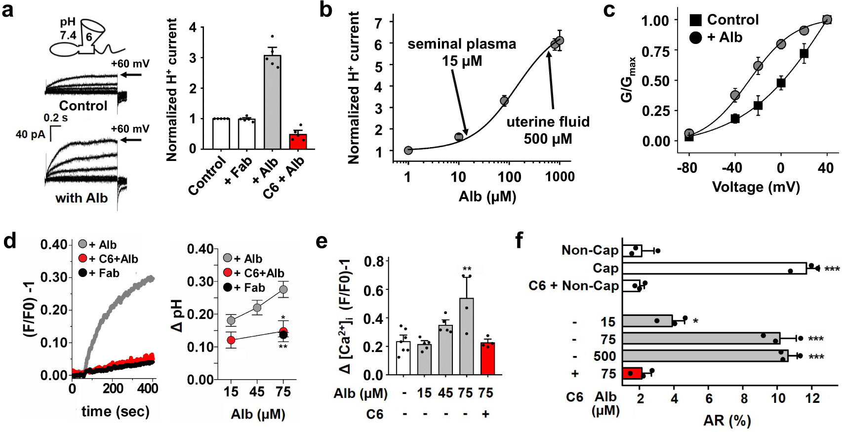 Direct Activation Of The Proton Channel By Albumin Leads To Human Sperm Capacitation And Sustained Release Of Inflammatory Mediators By Neutrophils Nature Communications