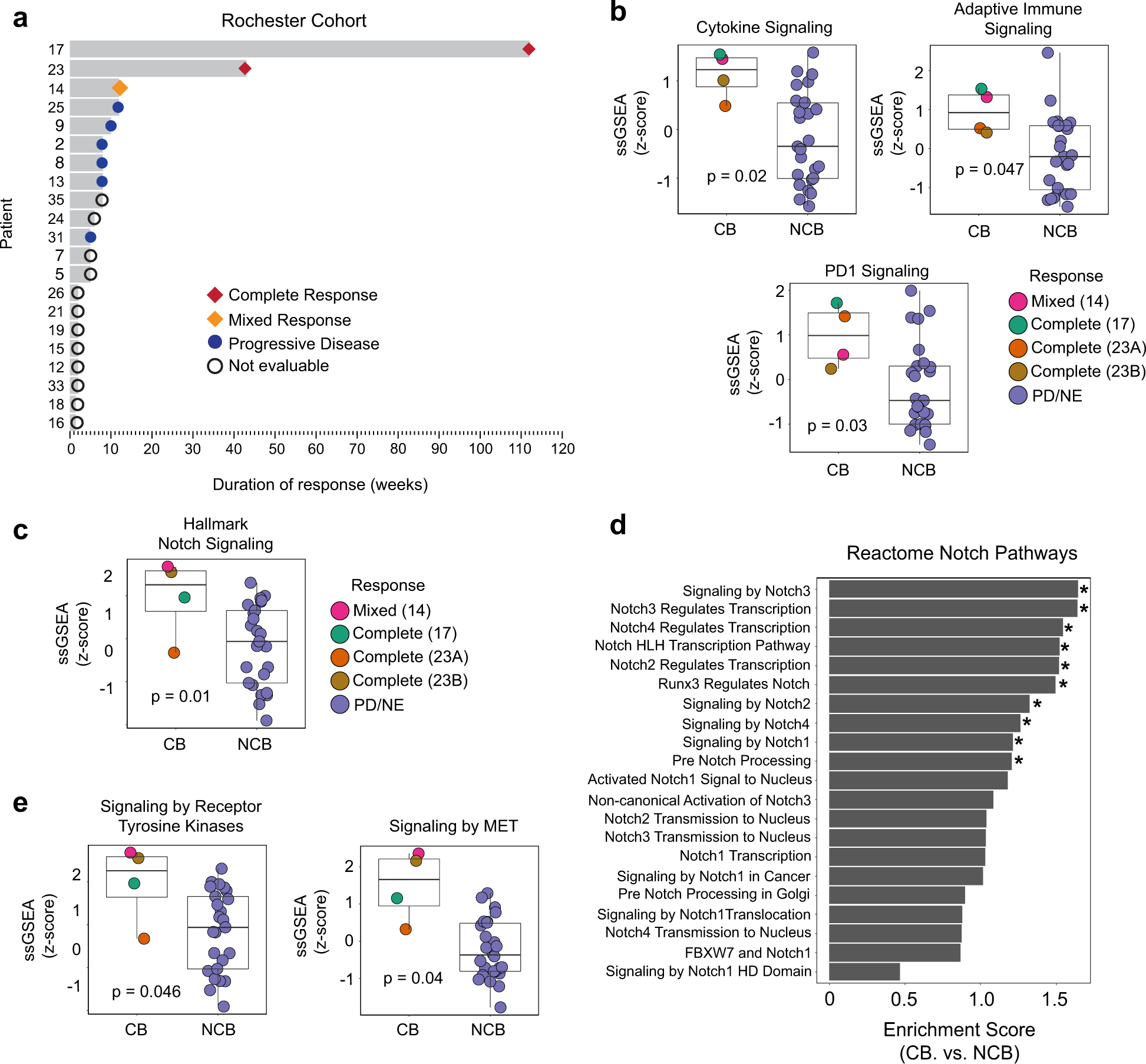 Fig. 3: Validation of the association between Notch signaling and immune gene sets and clinical benefit to immune checkpoint blockade in relapsed small cell lung cancer.