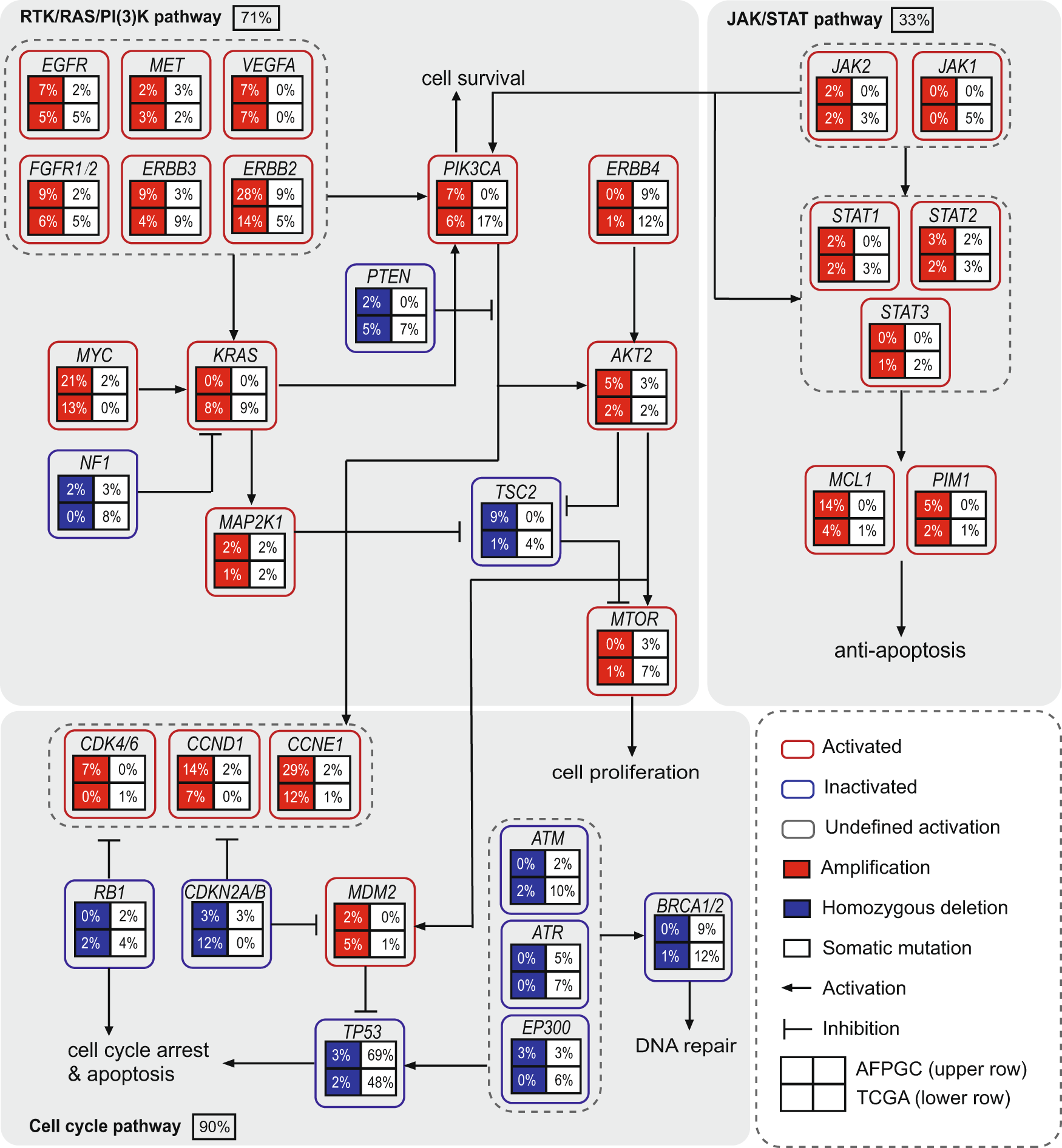 Fig. 3: Comparison of genetic alterations of signaling pathways in AFPGC and TCGA-GC.