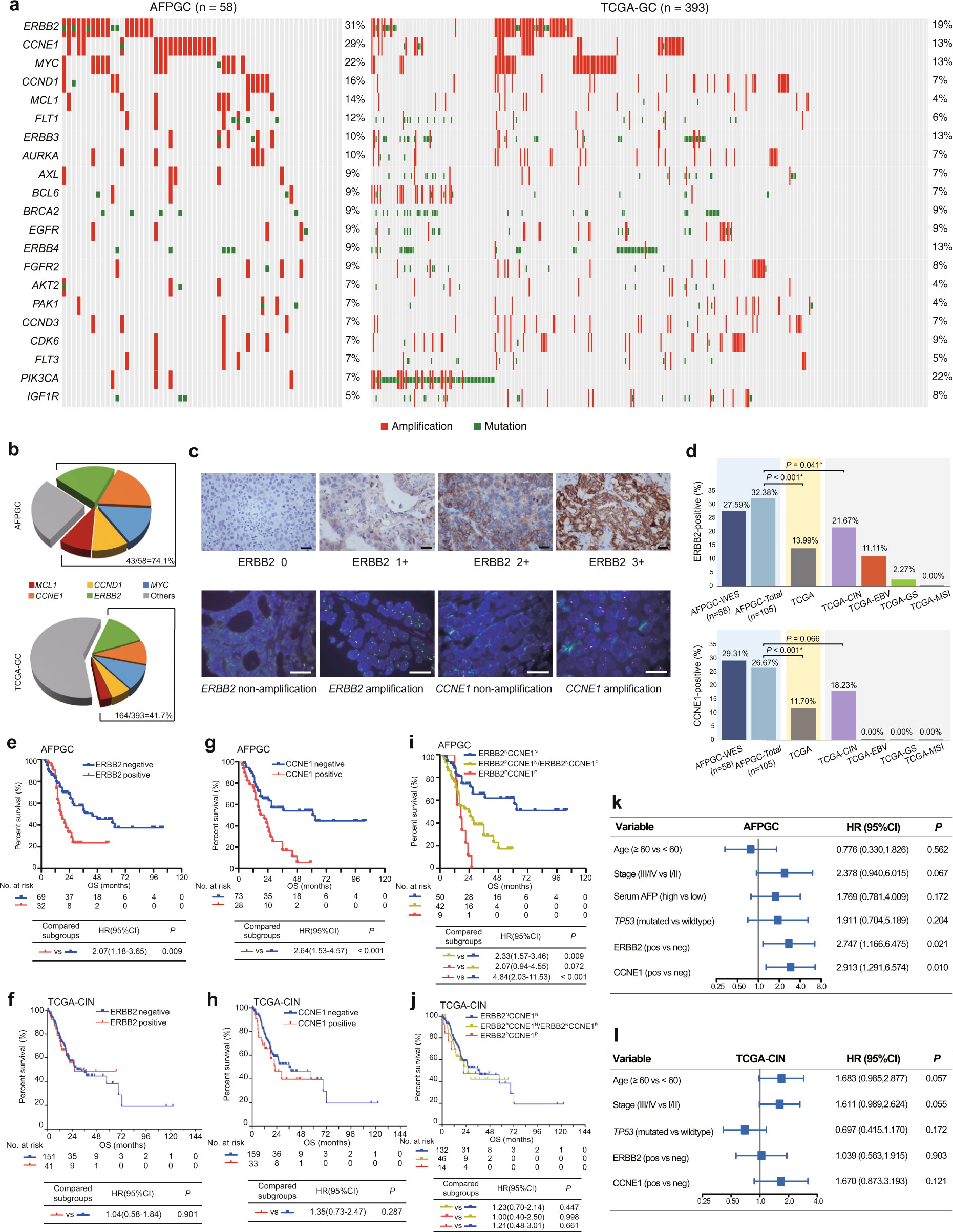 Fig. 4: Potentially targetable alterations in AFPGC and TCGA-GC, and survival analysis.
