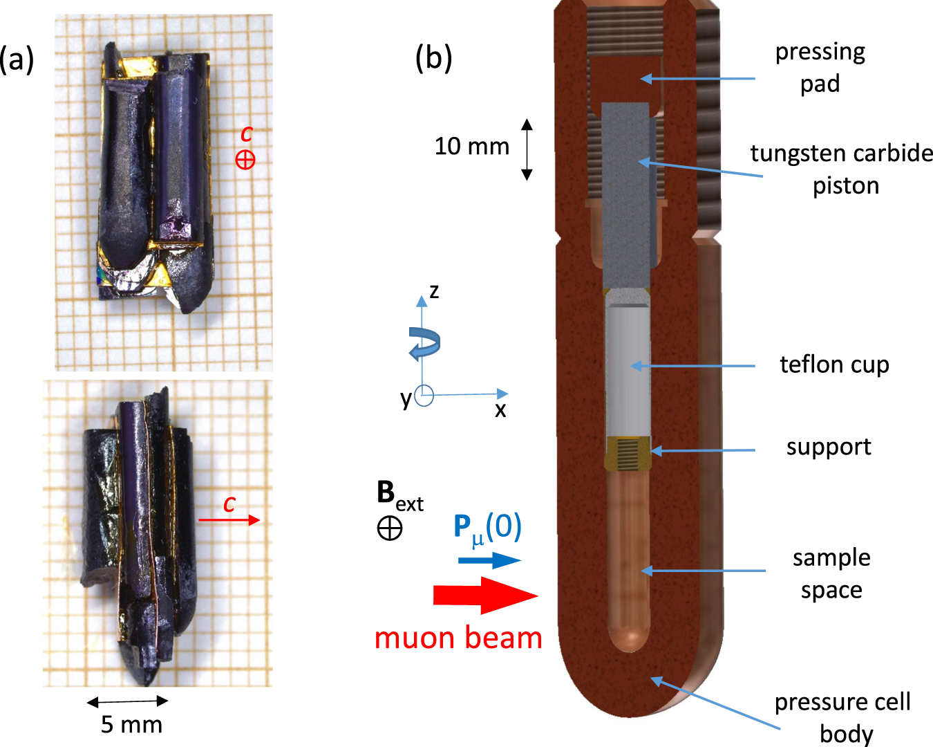 Fig. 1: Setup for hydrostatic pressure experiments.
