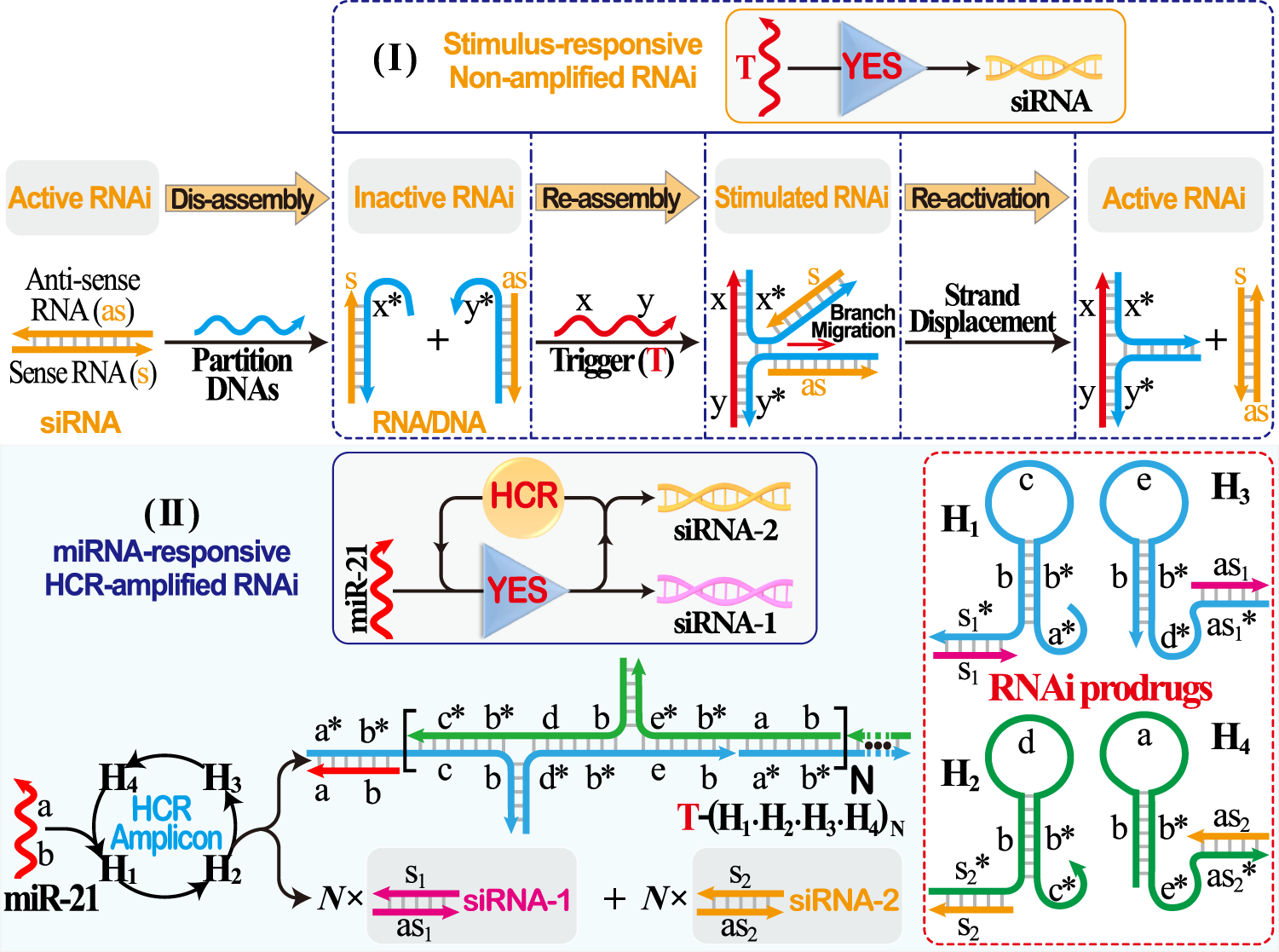 A Smart Multiantenna Gene Theranostic System Based On The Programmed Assembly Of Hypoxia Related Sirnas Nature Communications