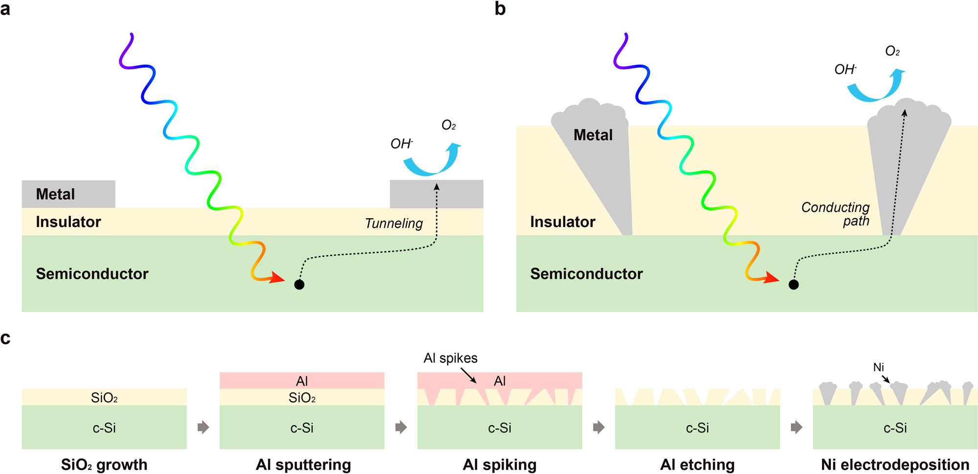 Scalable, highly stable Si-based metal-insulator-semiconductor photoanodes  for water oxidation fabricated using thin-film reactions and  electrodeposition | Nature Communications