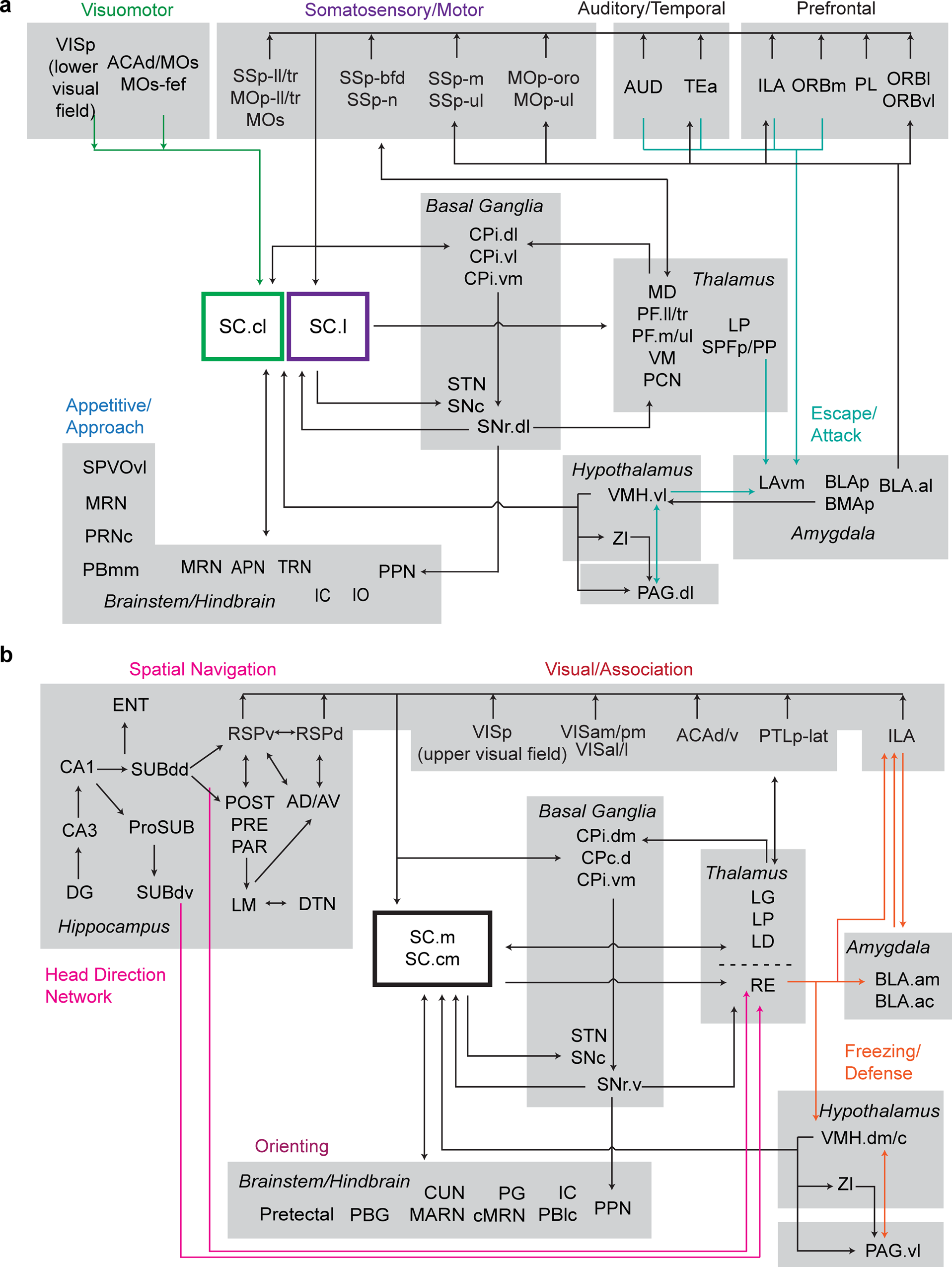 Fig. 8: Subnetwork organization of SC zones.