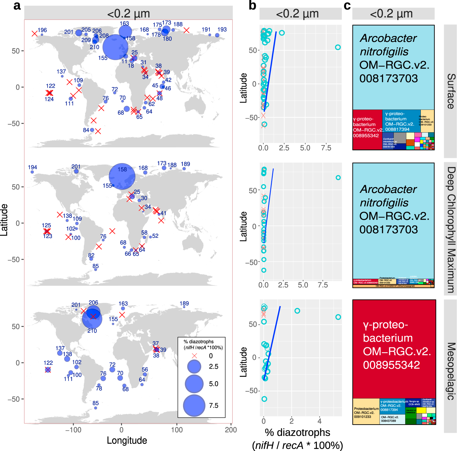 Fig. 10: Detection of ultrasmall diazotrophs in metagenomes obtained from <0.22 µm size-fractionated samples of different water layers.