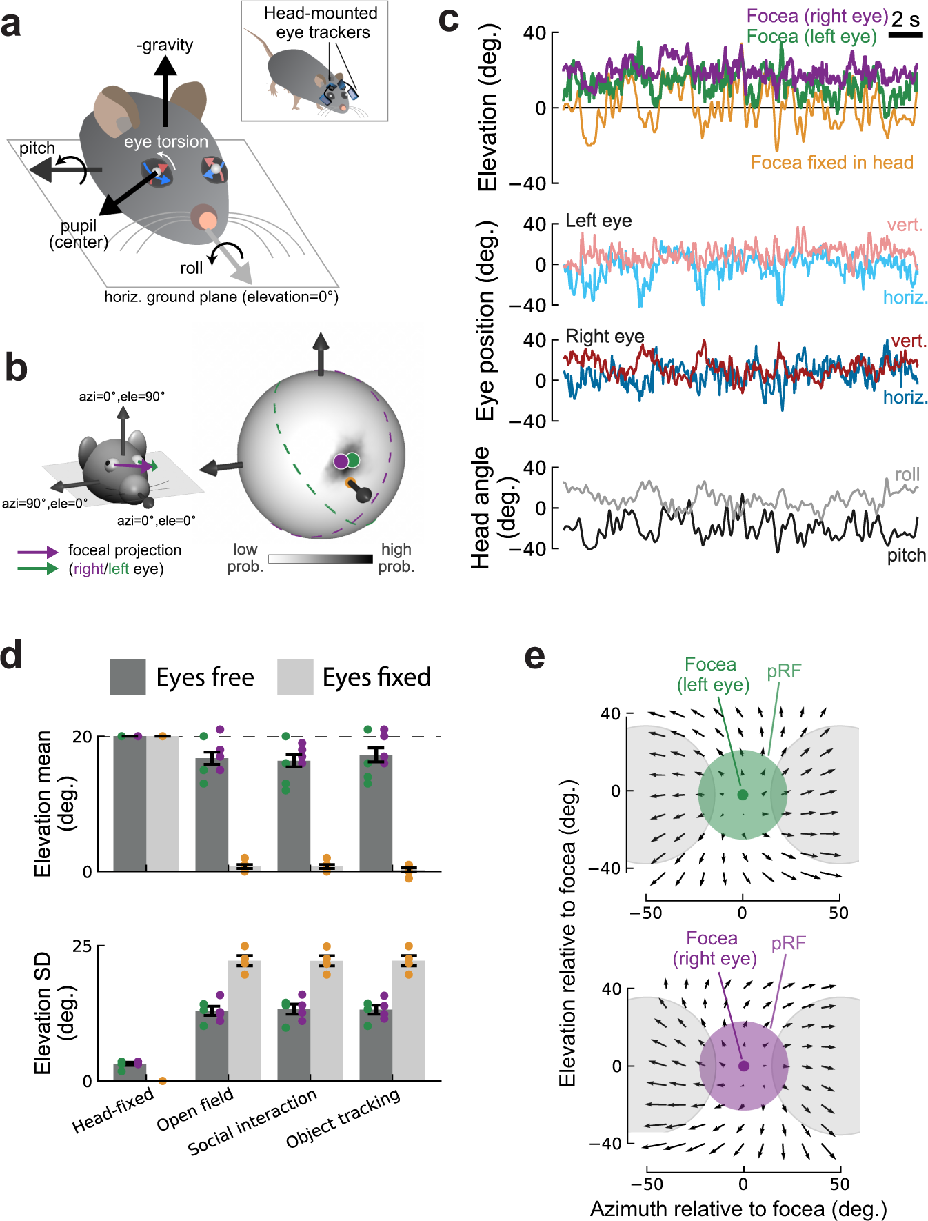 Fig. 8: Compensatory eye movements in freely moving mice keep the focea ahead of the animal.