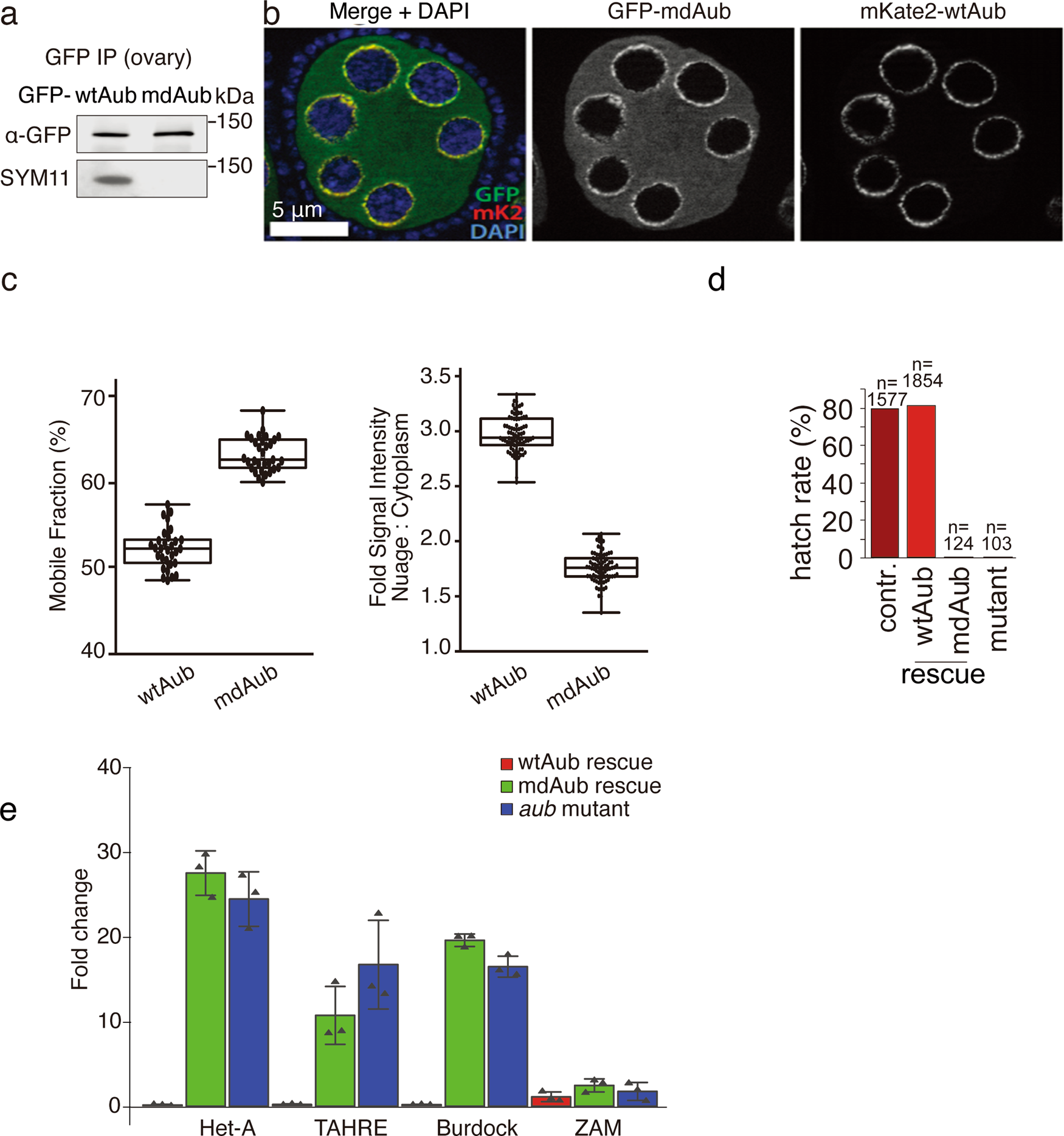 Fig. 3: Arginine methylation of Aub is required for fertility and TE repression.