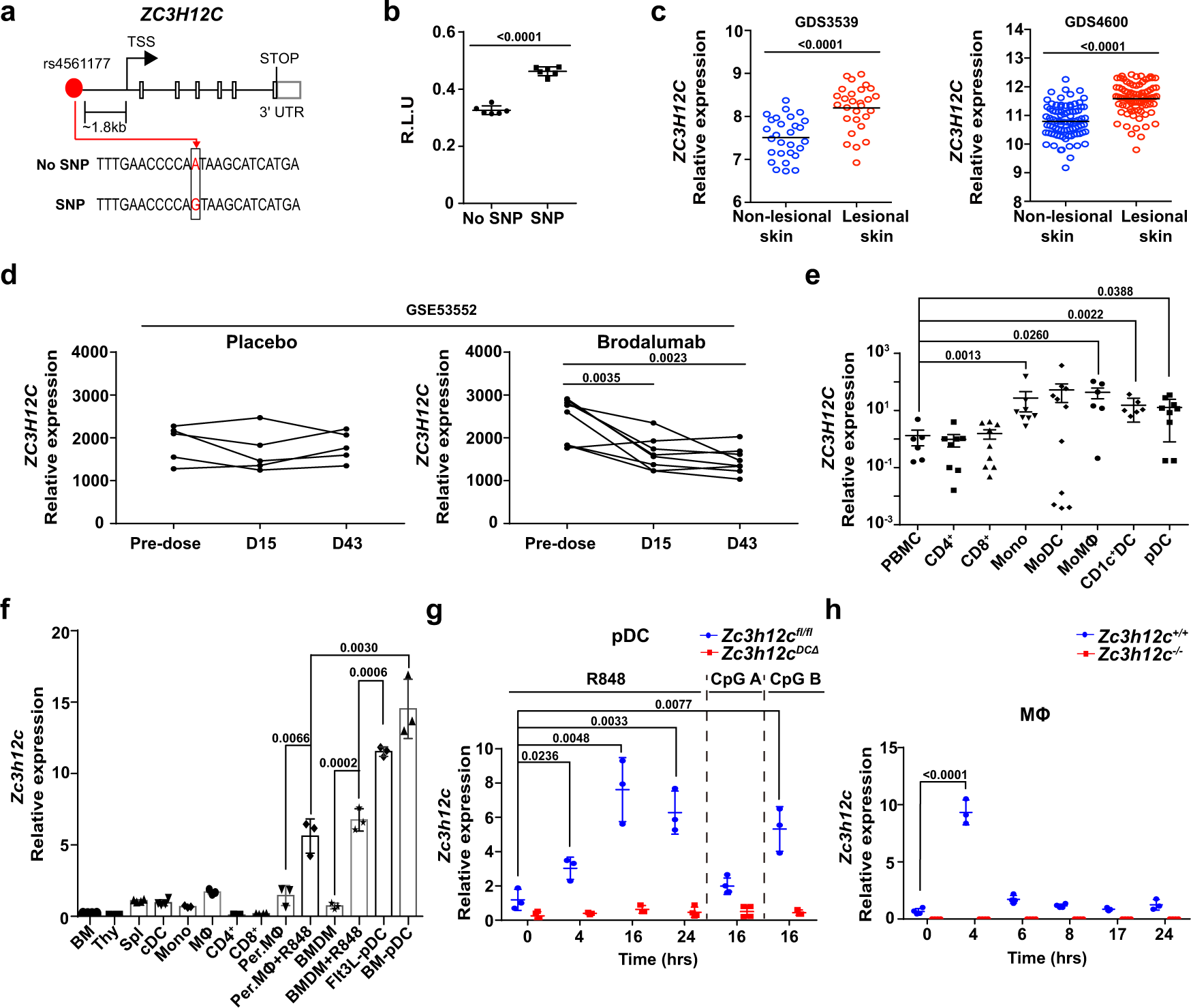 Fig. 1: MCPIP3 is positively associated with psoriasis pathogenesis.