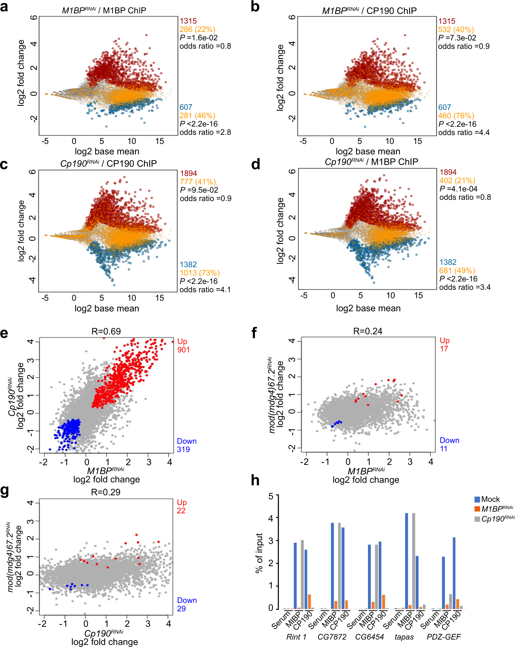 Fig. 4: M1BP and CP190 transcriptionally regulate a common set of genes.