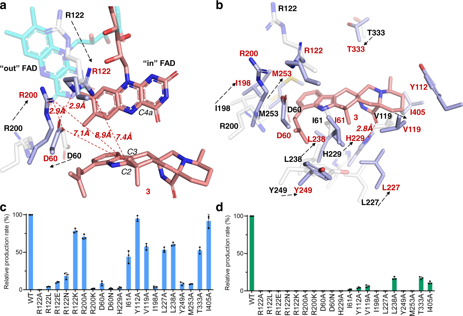 Fig. 5: Active site and substrate-binding site views of CtdE–FAD-3 complex and its substrate-free structure.