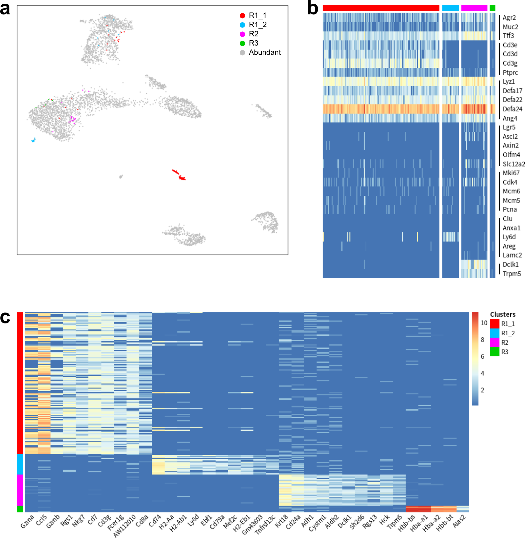 Fig. 5: Analysis of the intestine dataset.