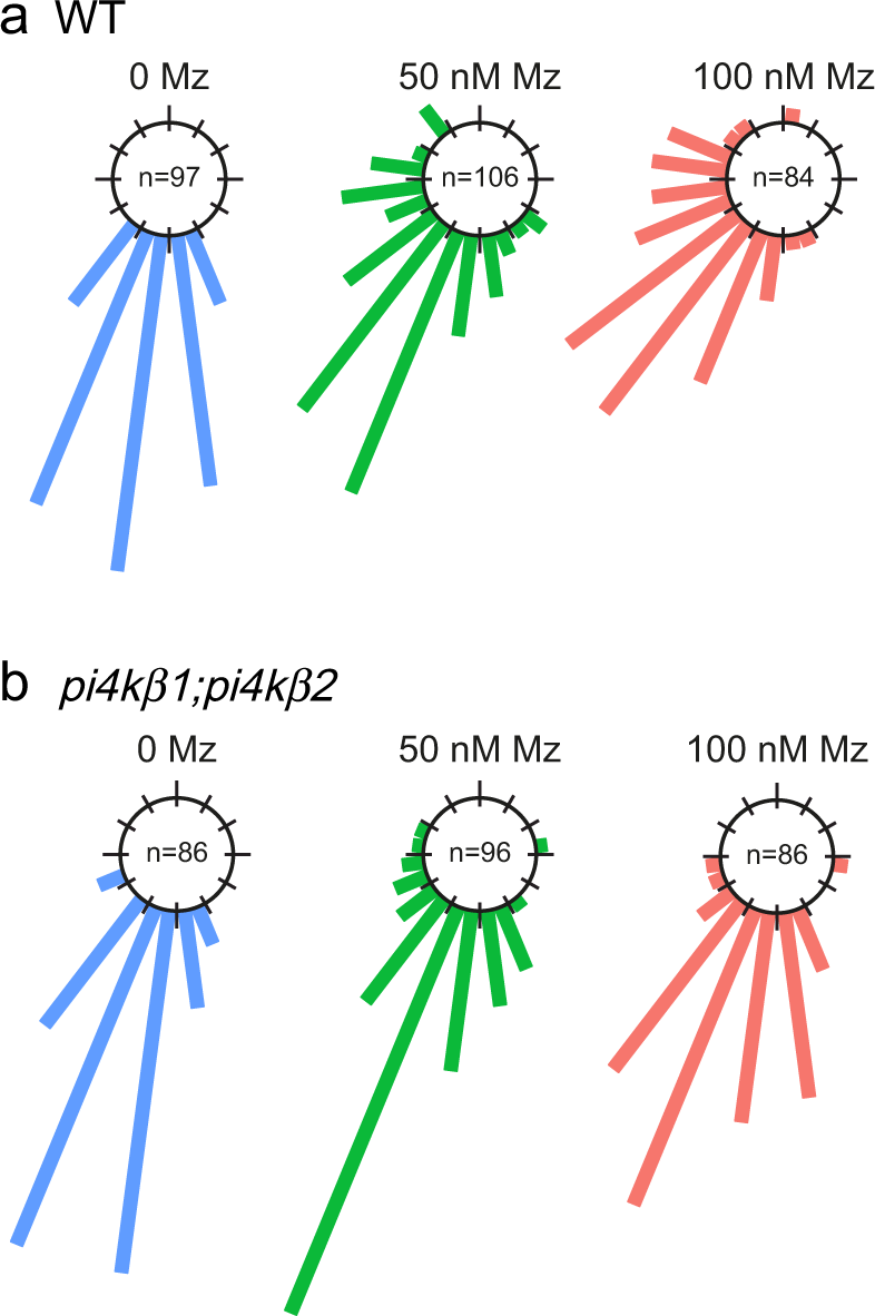 Sphingolipids mediate polar sorting of PIN2 through phosphoinositide  consumption at the trans-Golgi network | Nature Communications