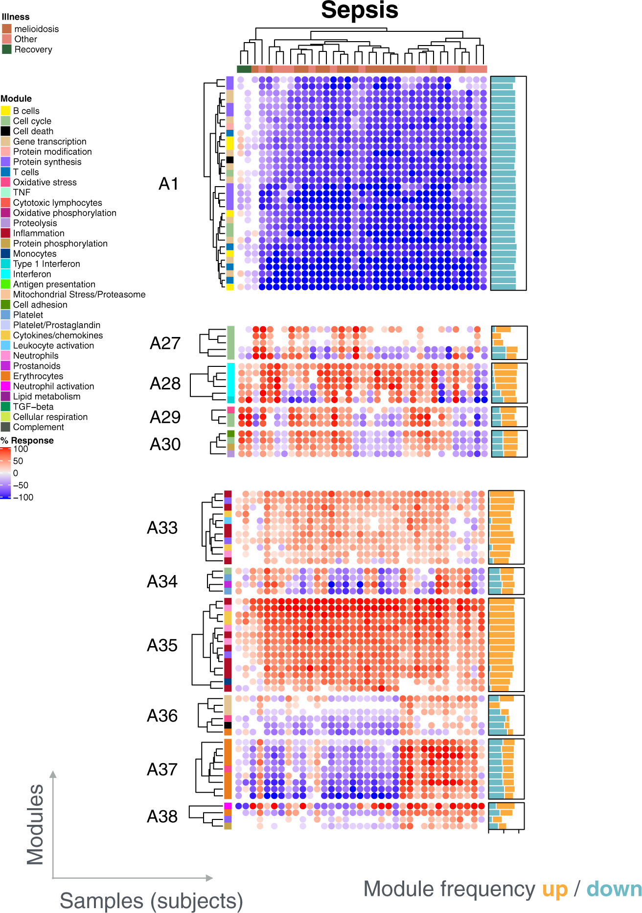 Fig. 5: Individual-level module heatmap.