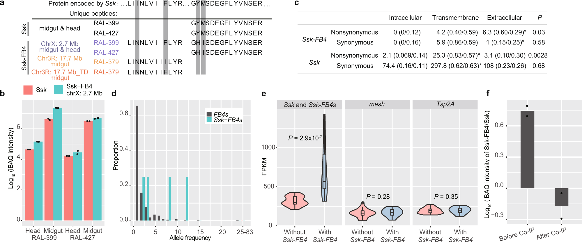 Fig. 5: Ssk-FB4s represent a young rapidly evolving protein family.