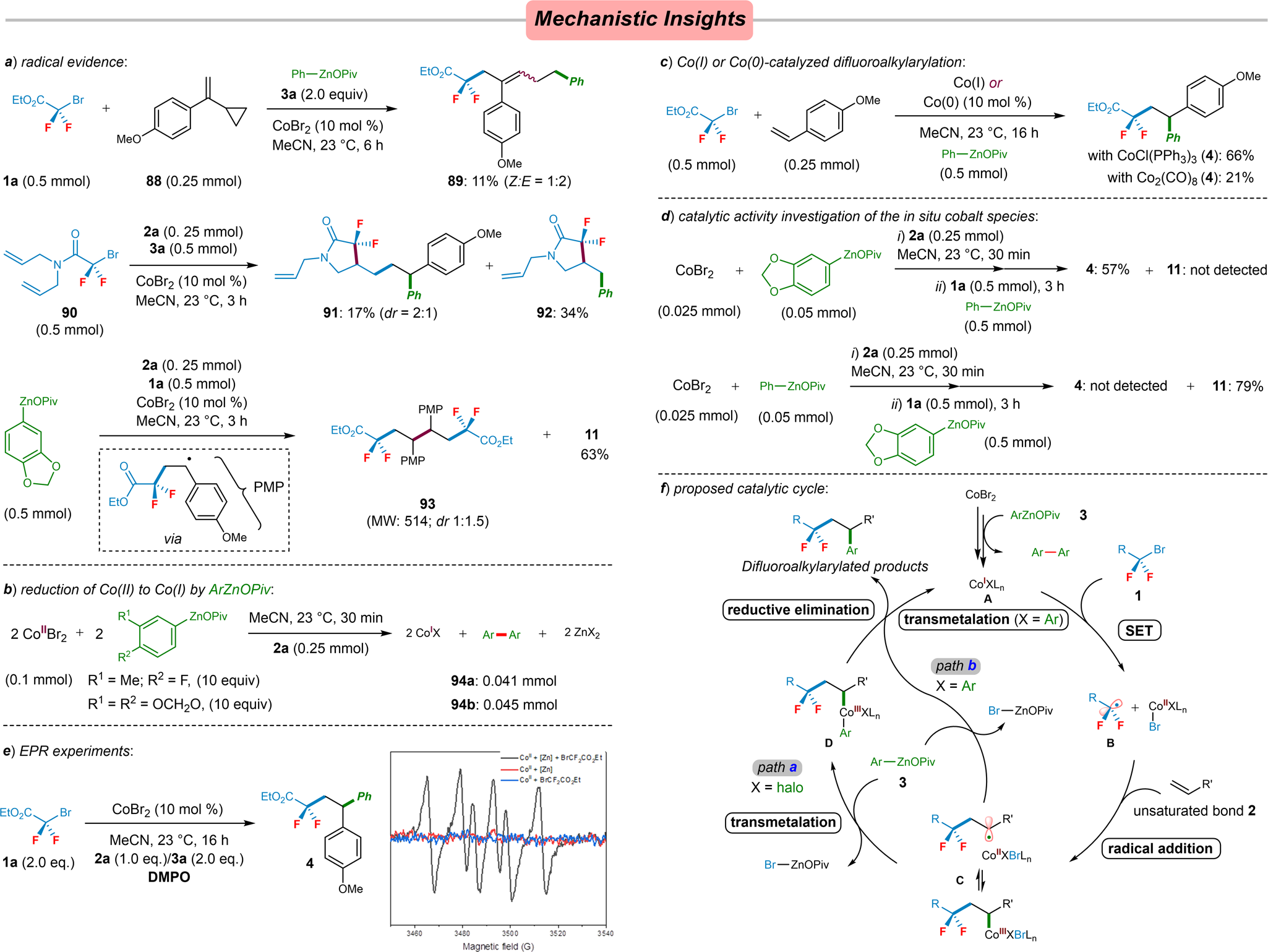 Fig. 6: Mechanistic studies for cobalt-catalyzed cascade difluoroalkylarylation.