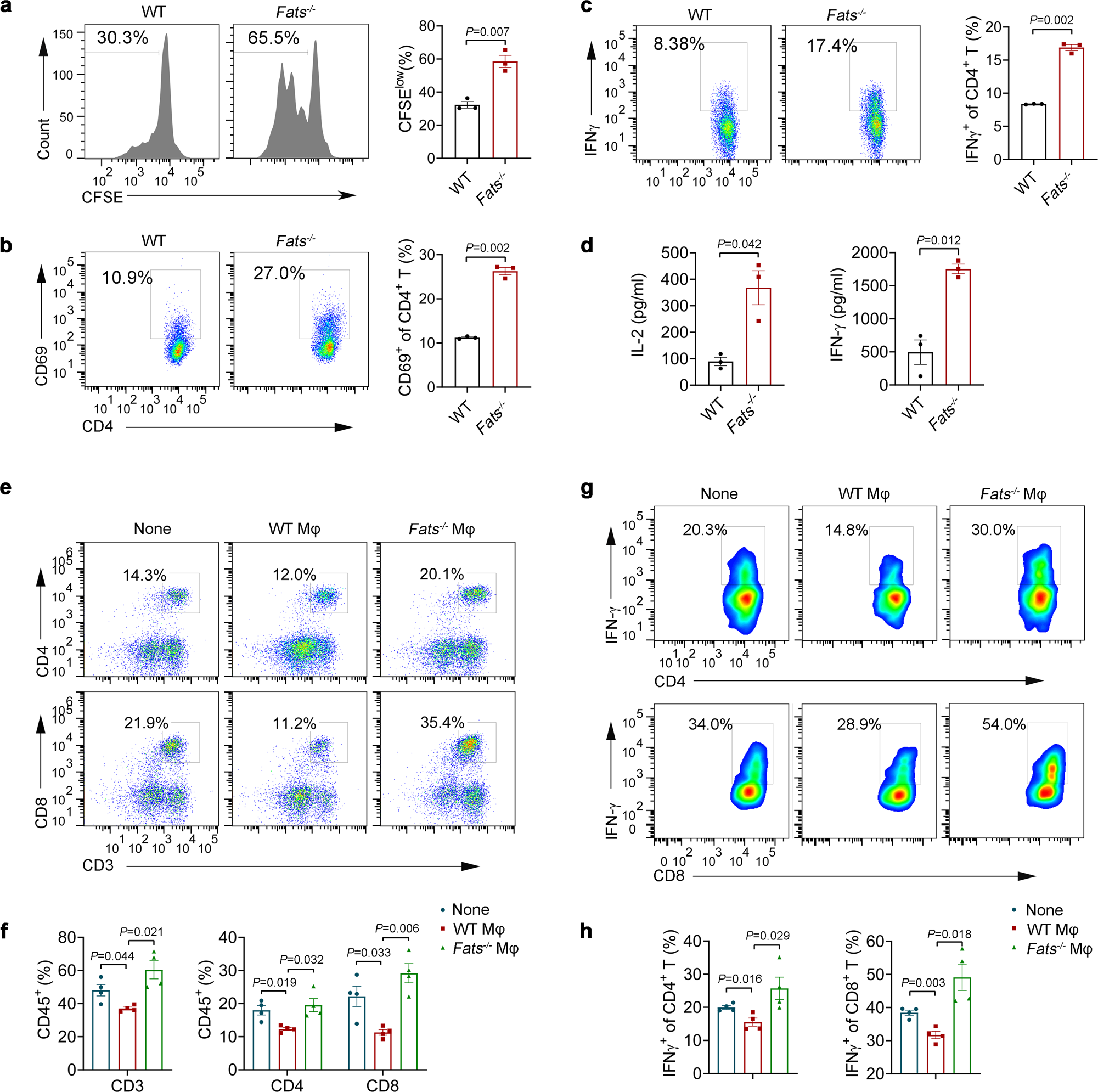 Fig. 6: Fats−/− macrophages promote Th1 responses.