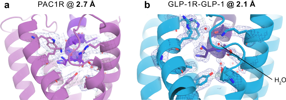 Fig. 4: Illustration of the atomic modeling benefits from improved map resolution.