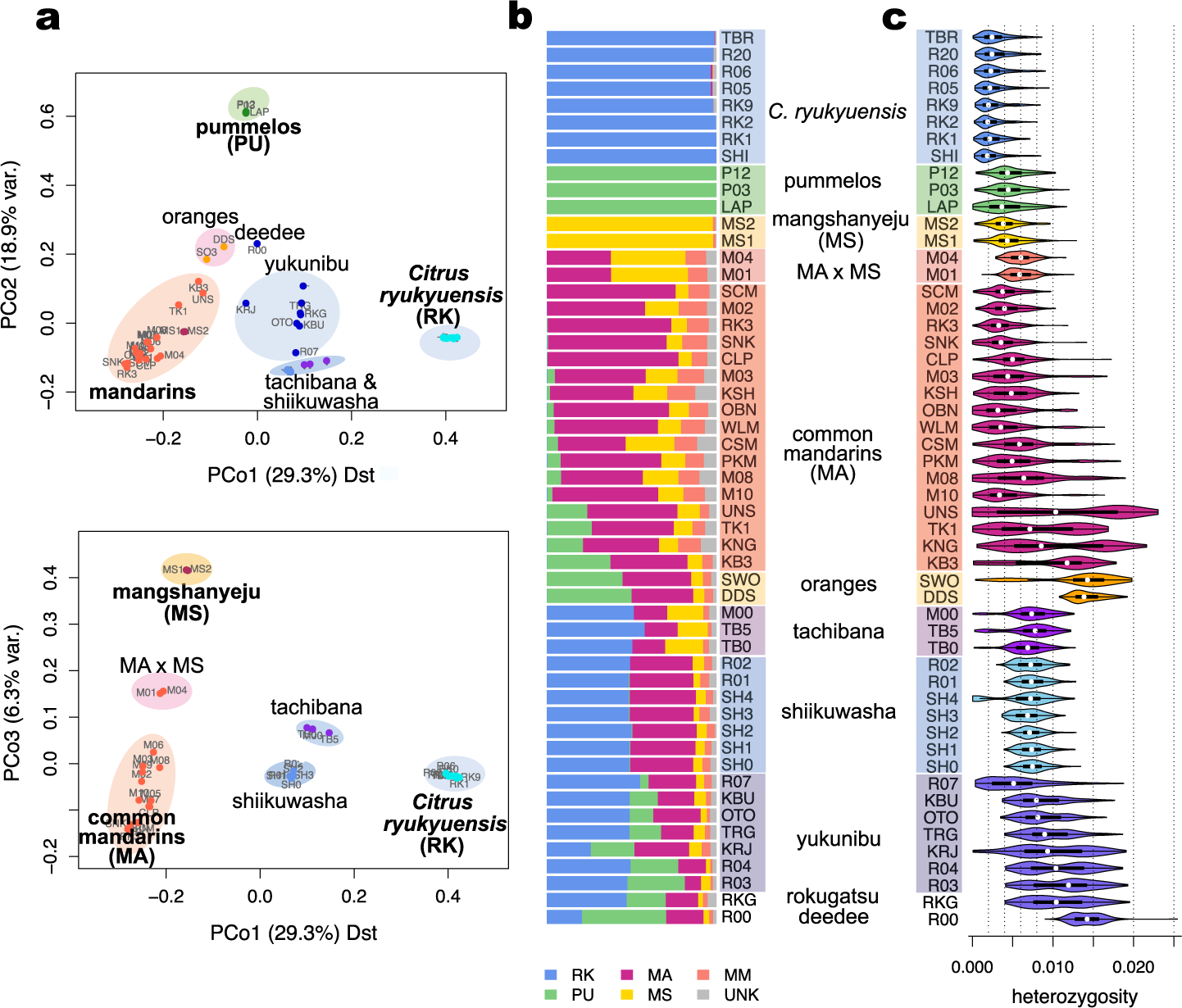 Diversification of mandarin citrus by hybrid speciation and apomixis |  Nature Communications