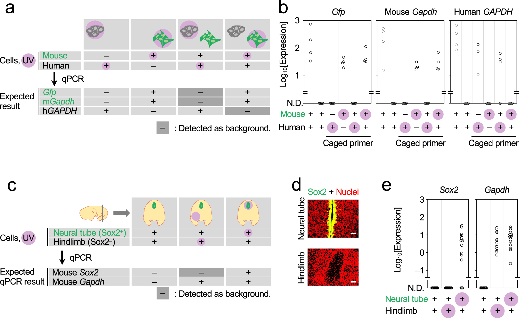 Fig. 2: Validation of PIC for ROI-specific profiling.