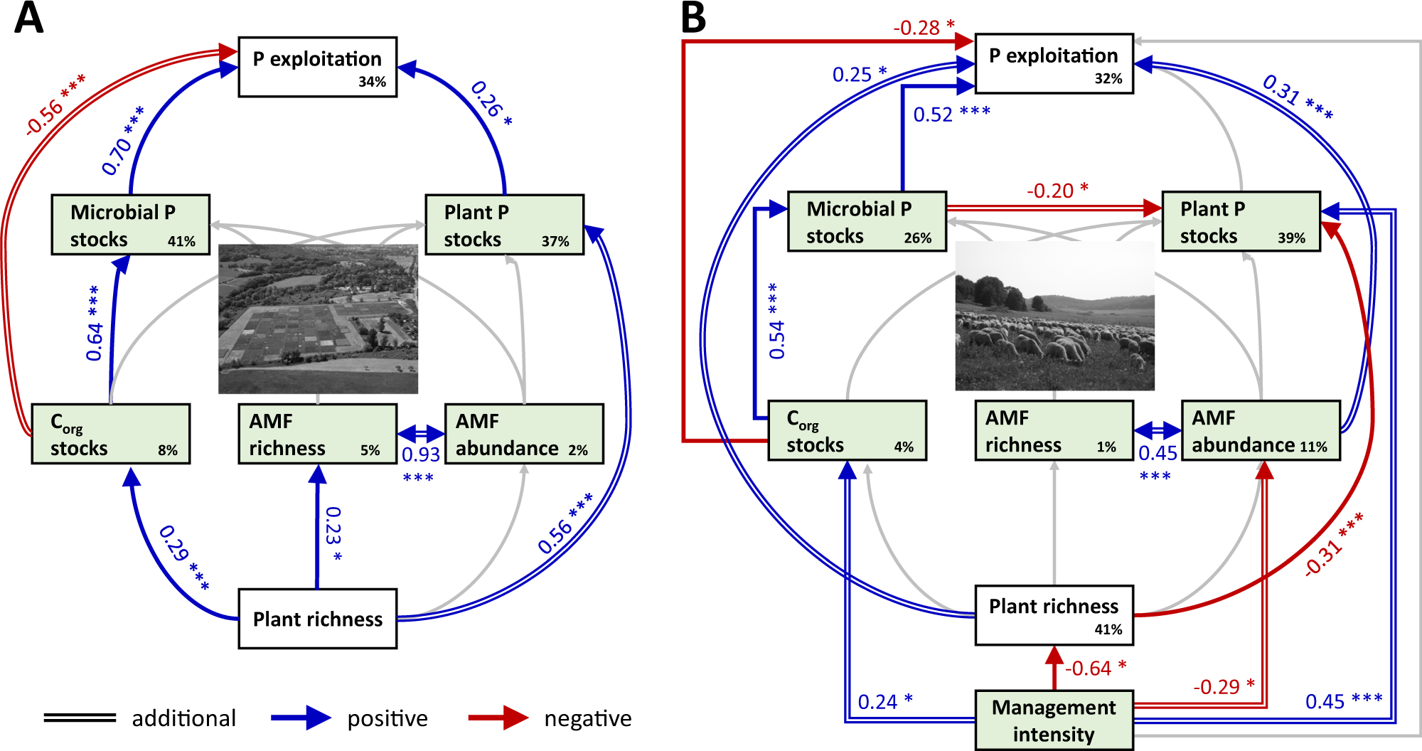 Plastic responses of below‐ground foraging traits to soil phosphorus‐rich  patches across 17 coexisting AM tree species in a subtropical forest - Zhu  - 2023 - Journal of Ecology - Wiley Online Library
