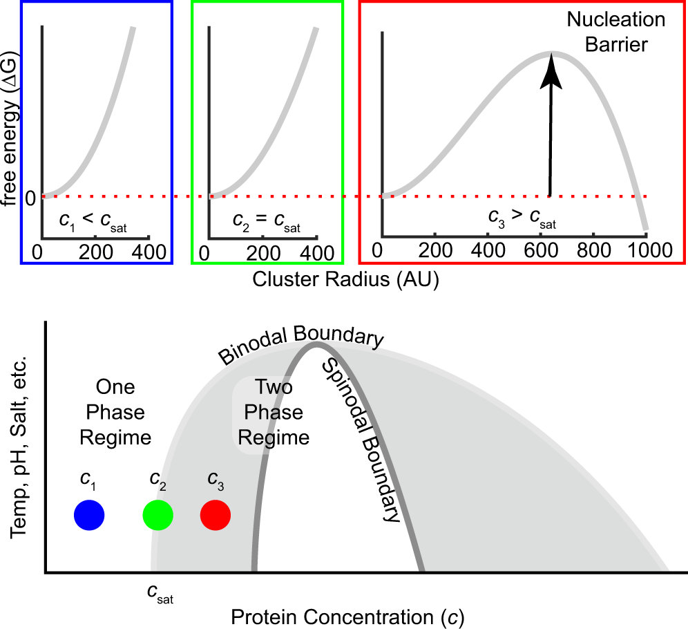 Maximum power normalized to the saturation power for HGHG with