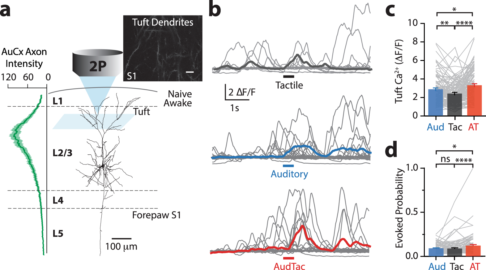 Exposing the Dynamics of the AUD Silver Price: Patterns, Influences, and Perspectives Exposing the Dynamics of the AUD Silver Price: Patterns, Influences, and Perspectives