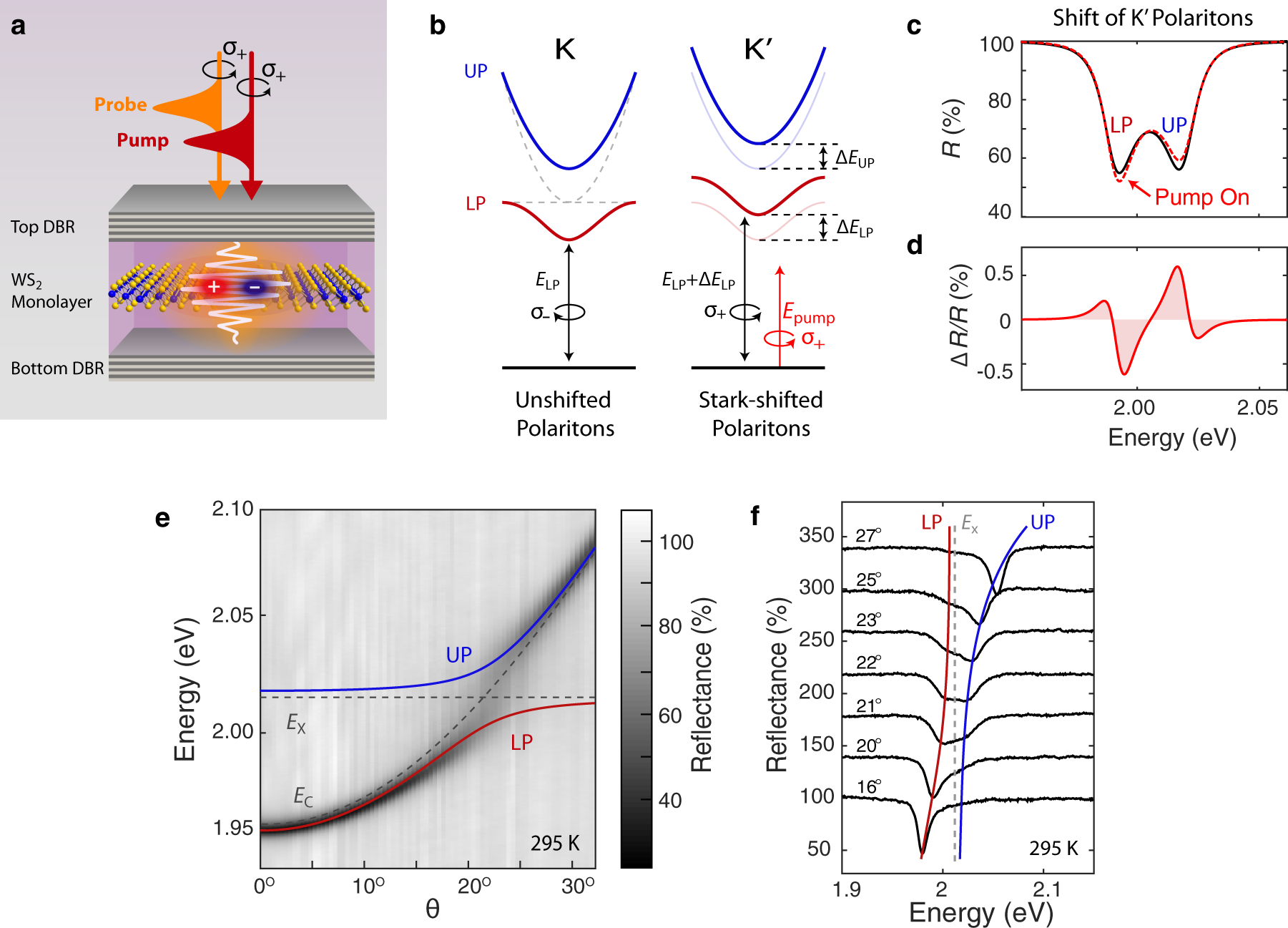 Valley-selective optical effect exciton-polaritons in a semiconductor | Nature Communications
