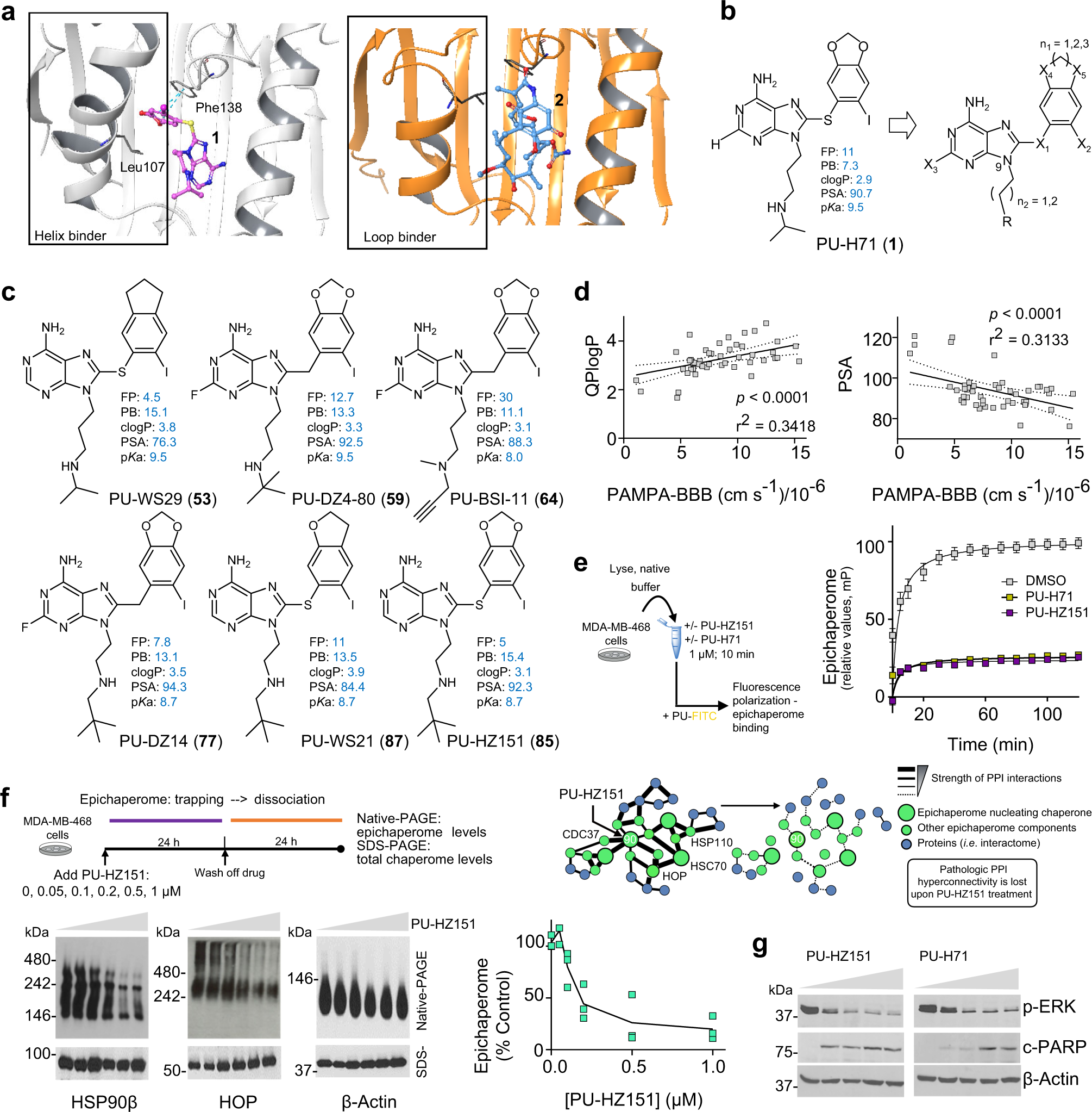 Chemical tools for epichaperome-mediated interactome dysfunctions of the  central nervous system | Nature Communications