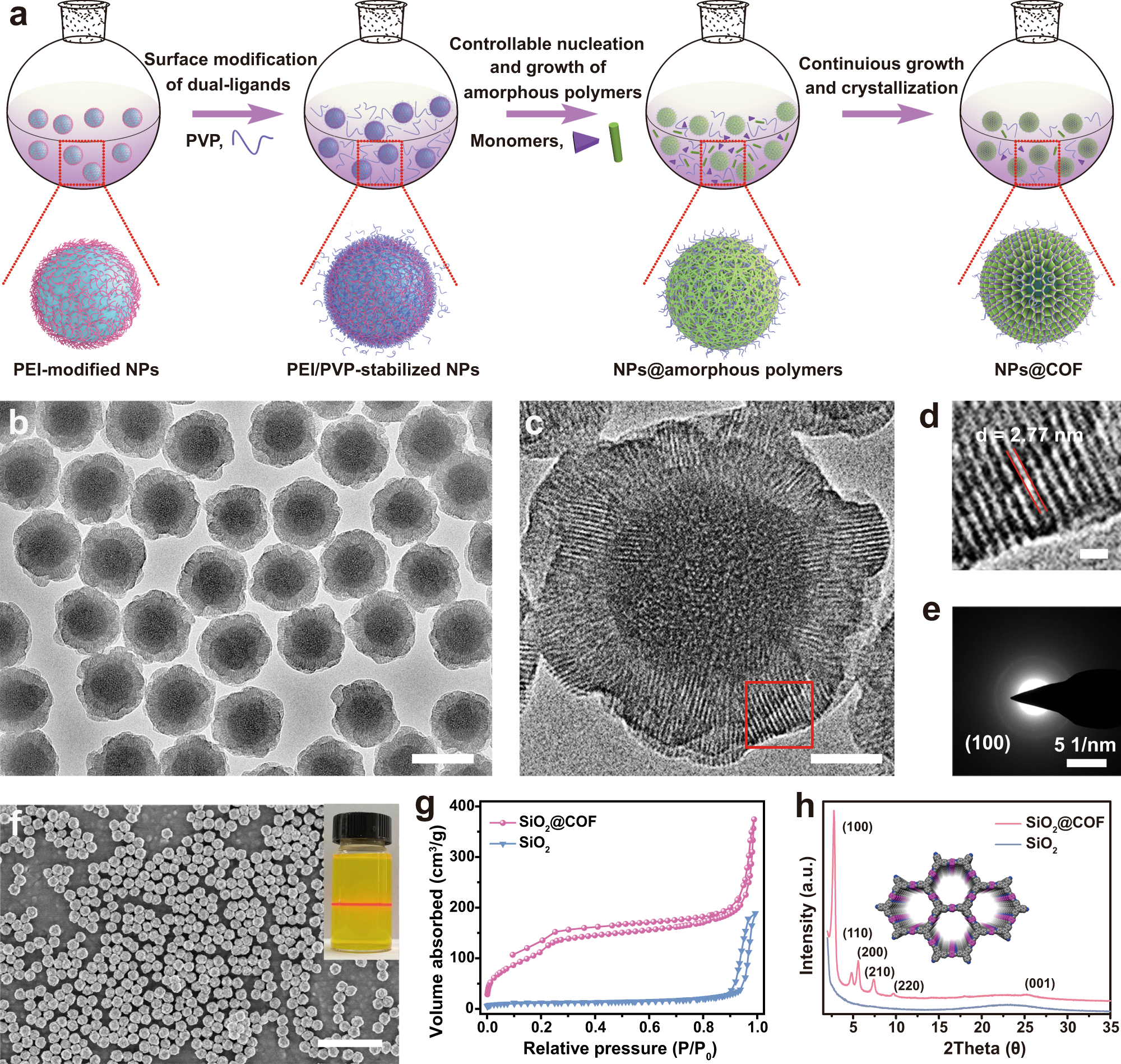 Imparting multi-functionality to covalent organic framework nanoparticles by the dual-ligand assistant encapsulation strategy | Nature Communications Imparting multi-functionality to covalent organic framework nanoparticles by the dual-ligand assistant encapsulation strategy | Nature Communications