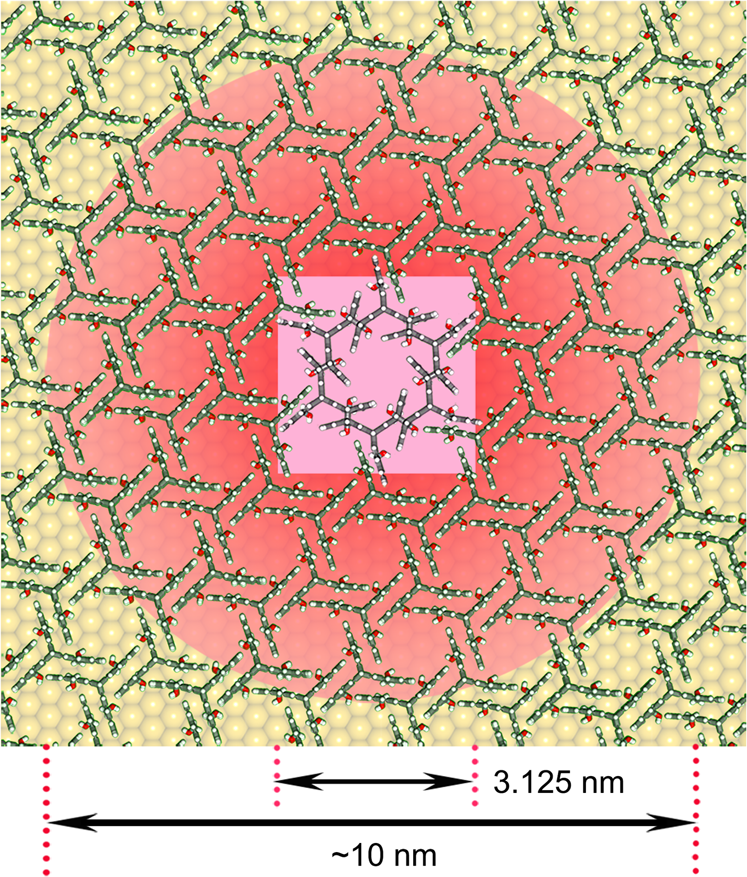 Fig. 4: Schematic illustration of a monomer 1 packing model on Au(111).