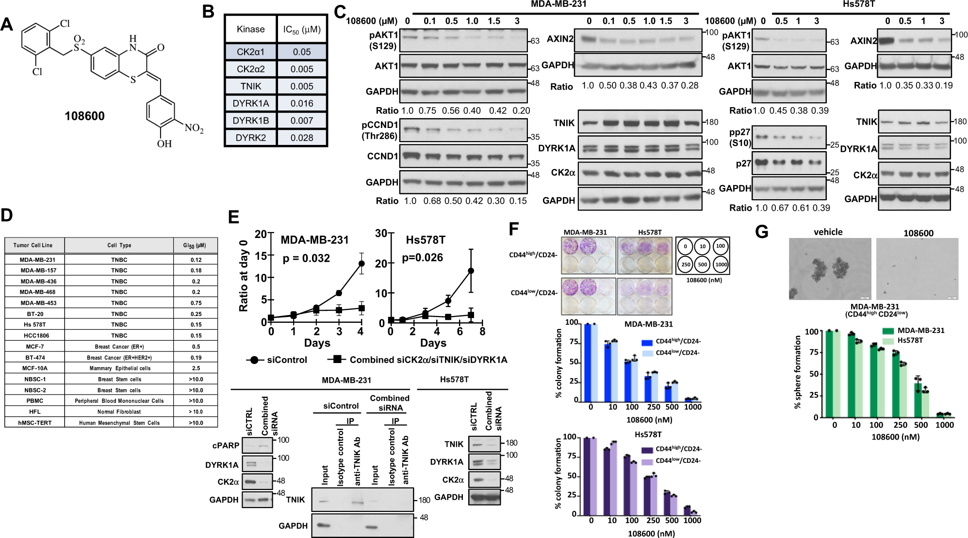 simultaneous-ck2-tnik-dyrk1-inhibition-by-108600-suppresses-triple-negative-breast-cancer-stem-cells-and-chemotherapy-resistant-disease-nature-communications