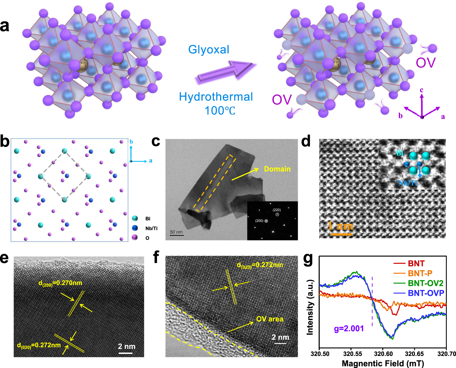 Fig. 1: Structural and morphological information for BNT, BNT-P, BNT-OV2, and BNT-OVP.
