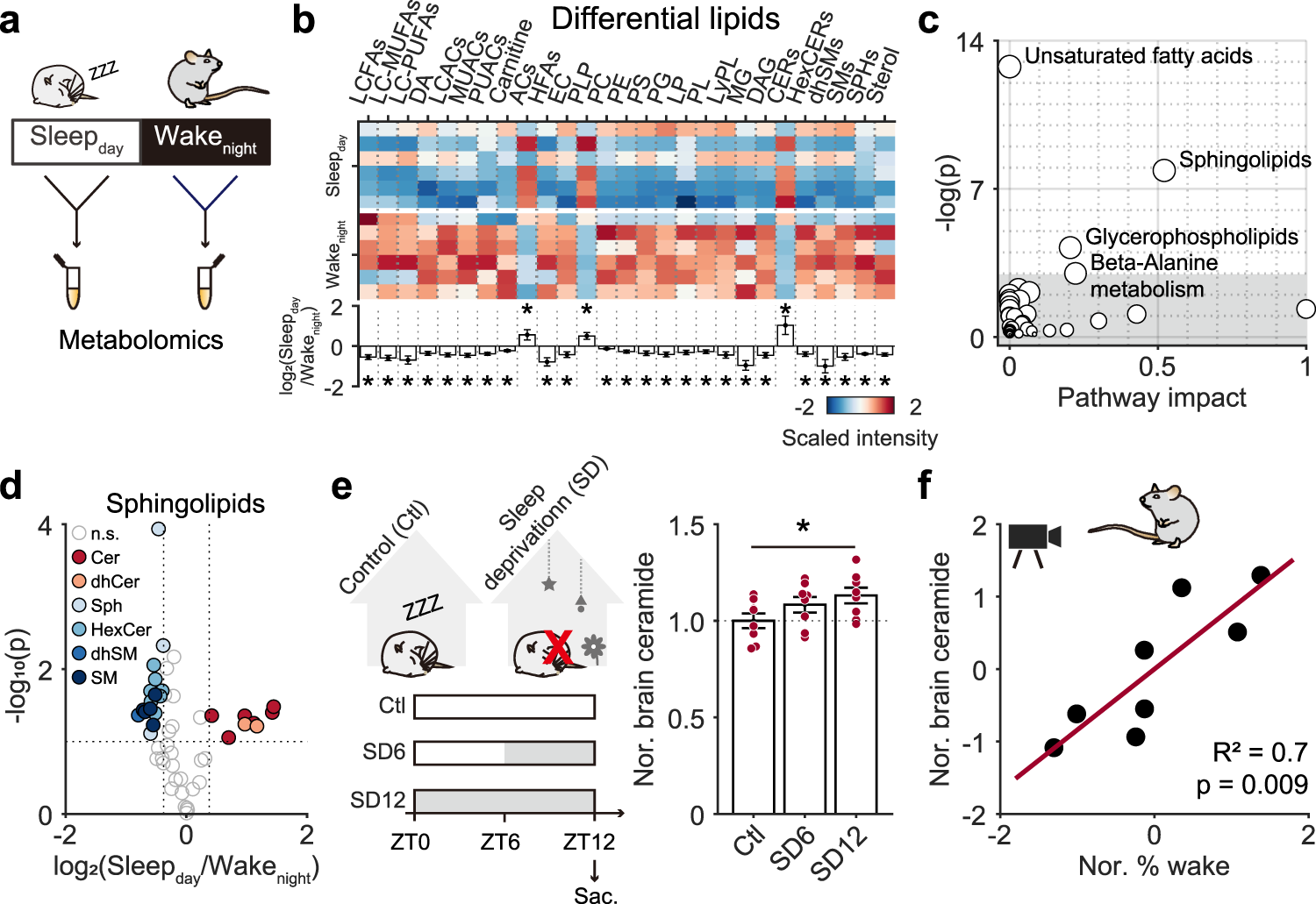 Fig. 2: Circadian variation of ceramide correlated with sleep-wake behavior.