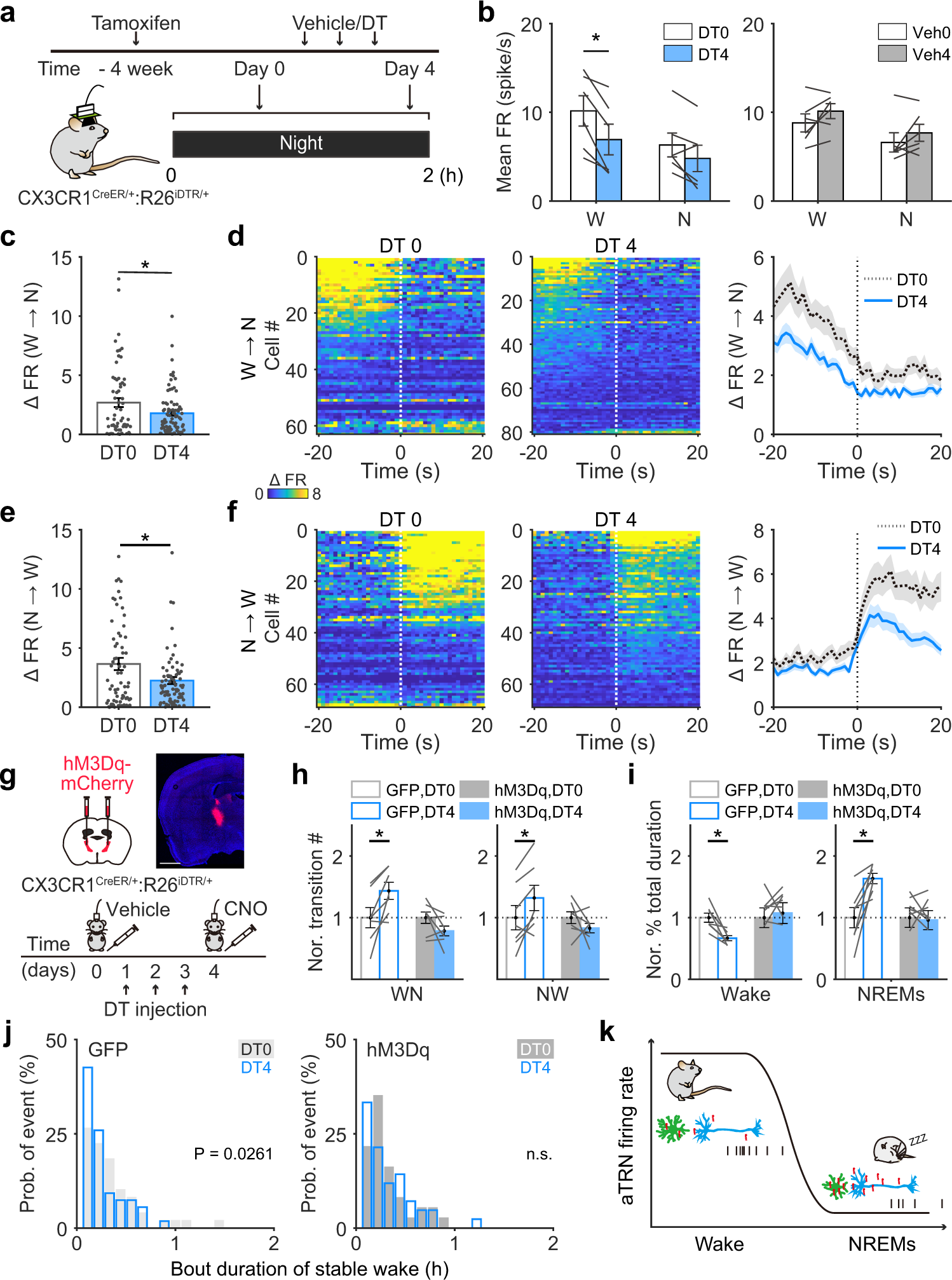 Fig. 6: Attenuation of aTRN neuronal excitability is responsible for changes in wakefulness stability following microglial depletion.